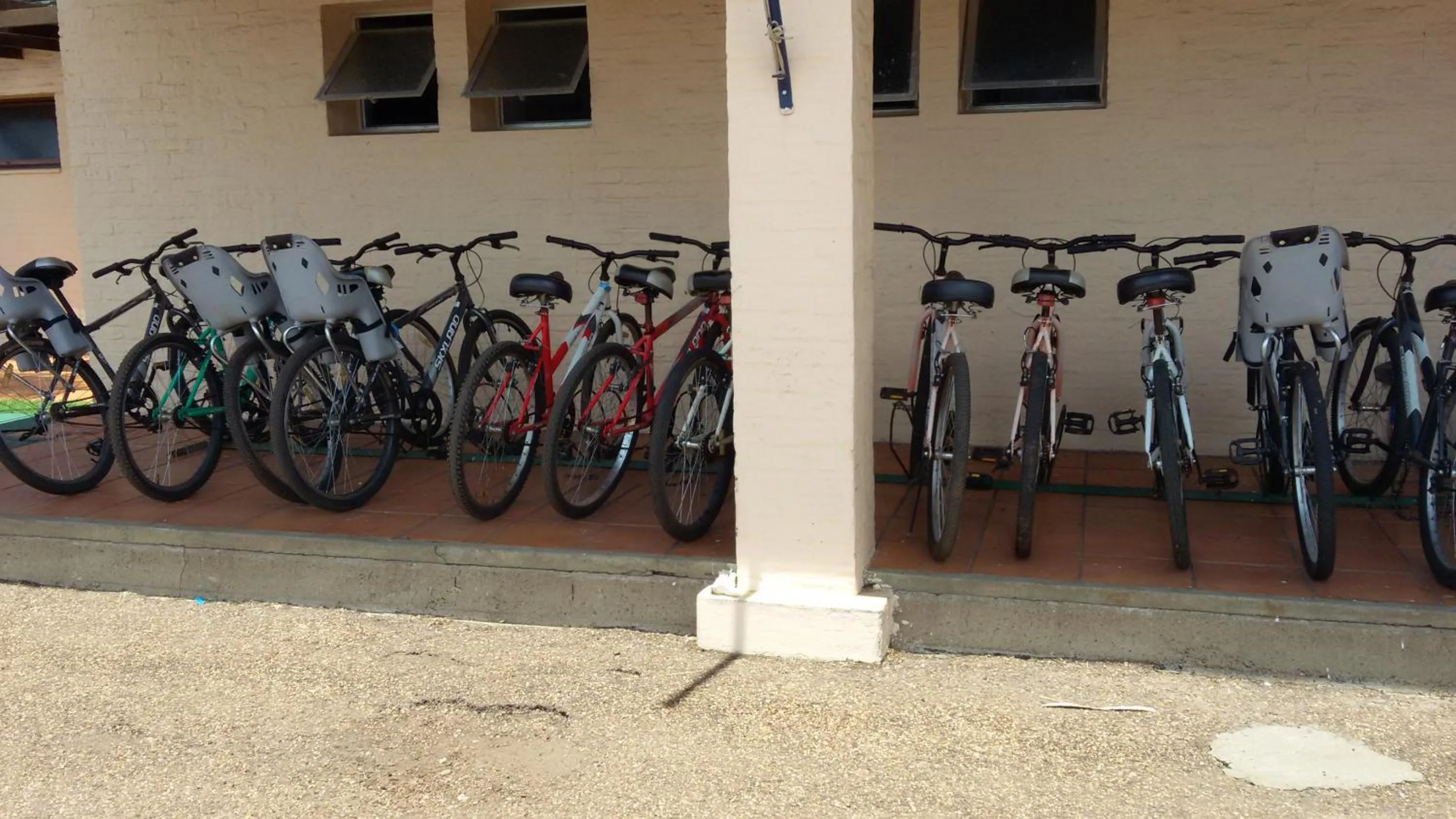 Activities in Arapey Oasis Termal Hotel