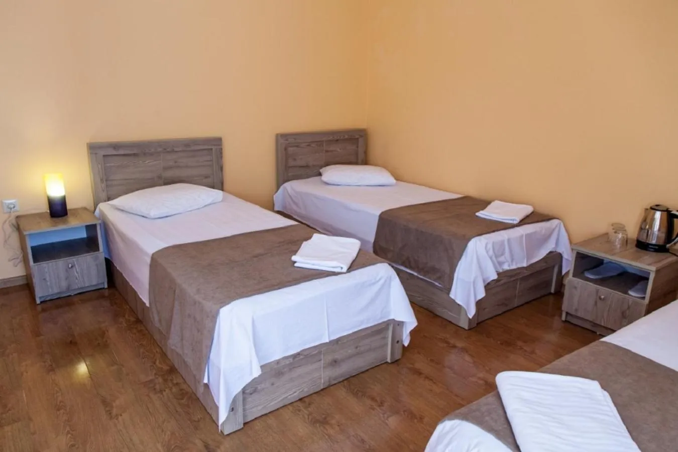 Photo of the whole room, Bed in Hotel Old Borjomi
