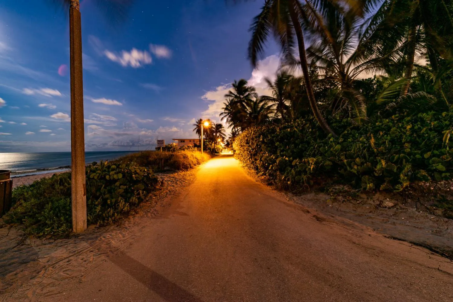 Natural landscape in The Desoto - Oceanview Inn