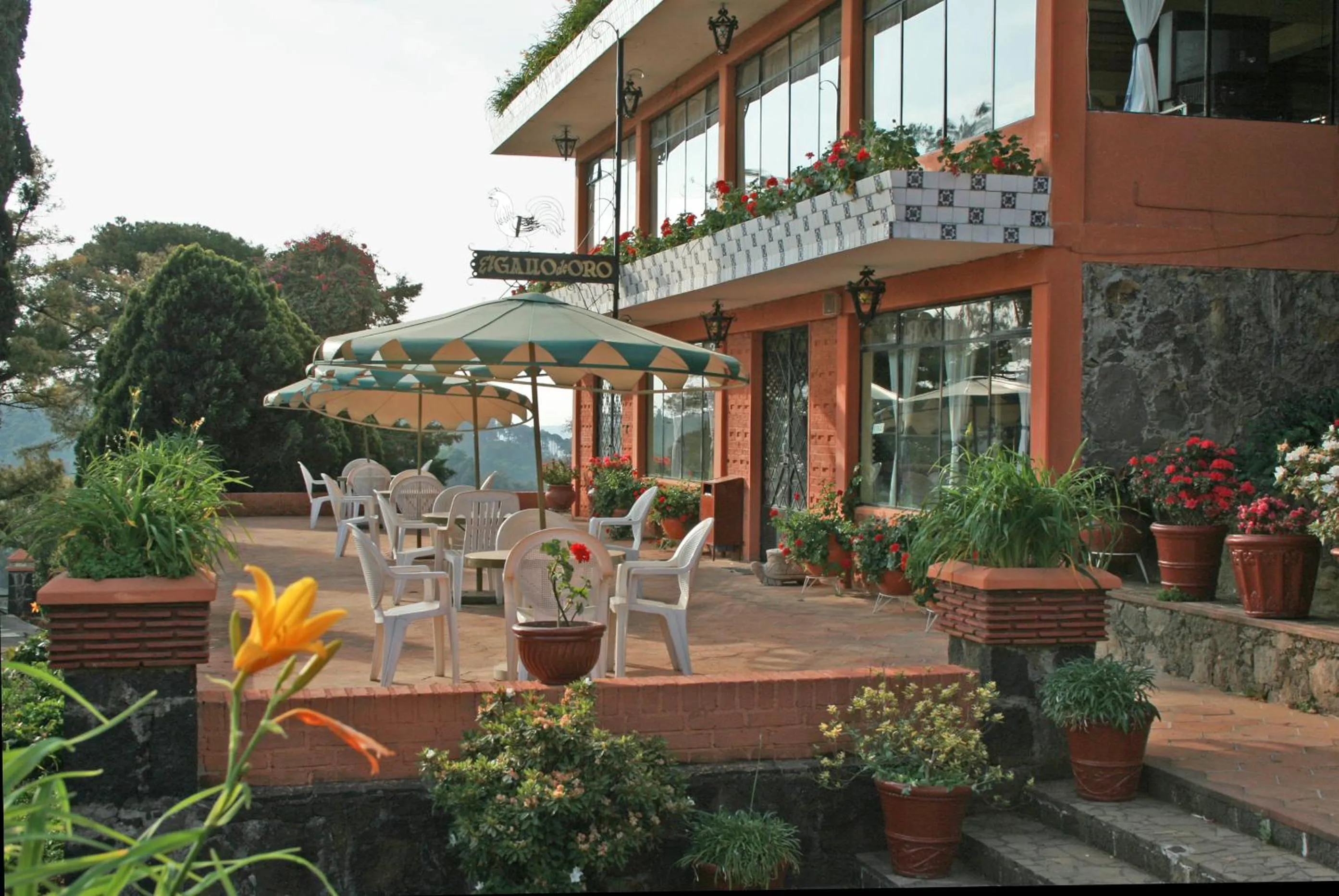 Area and facilities in Hotel Pie de la Sierra