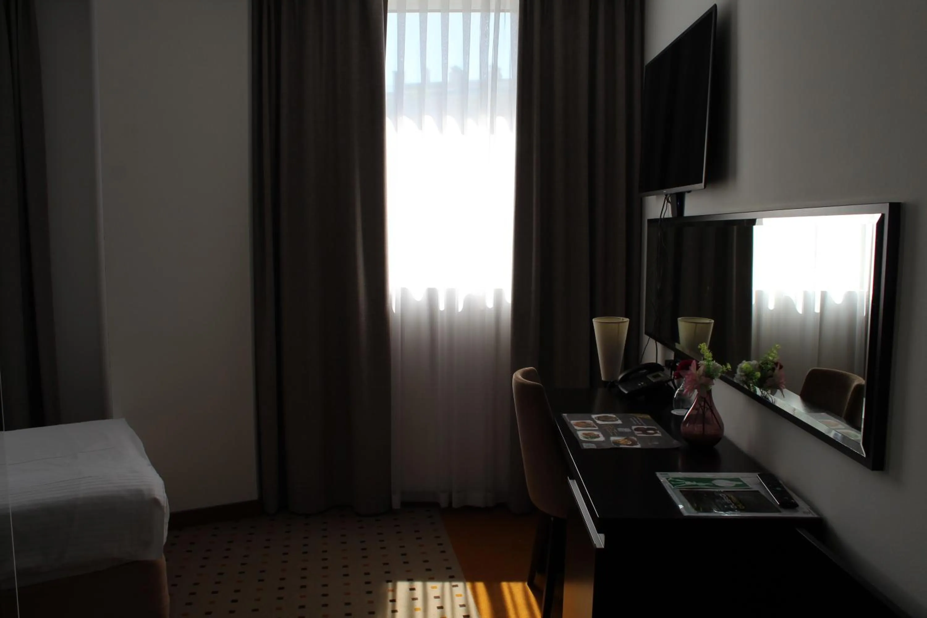 TV and multimedia in Hotel Diplomat