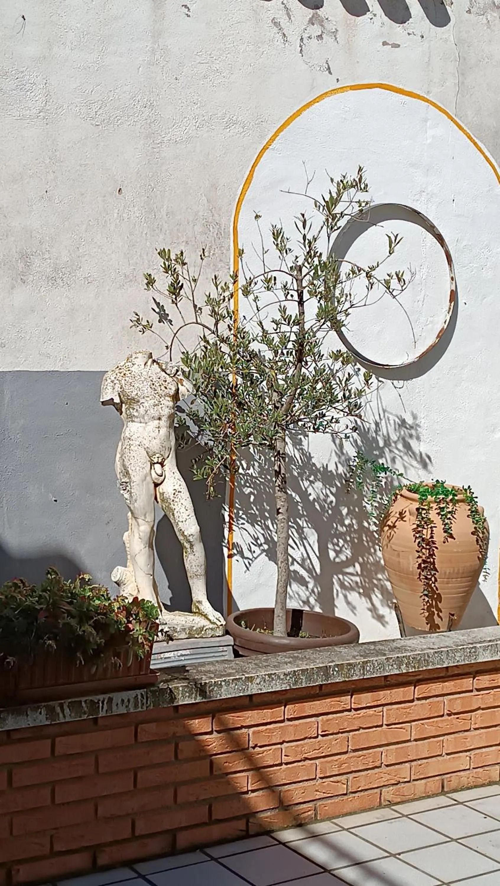Patio in Peregrinando, pensión con encanto