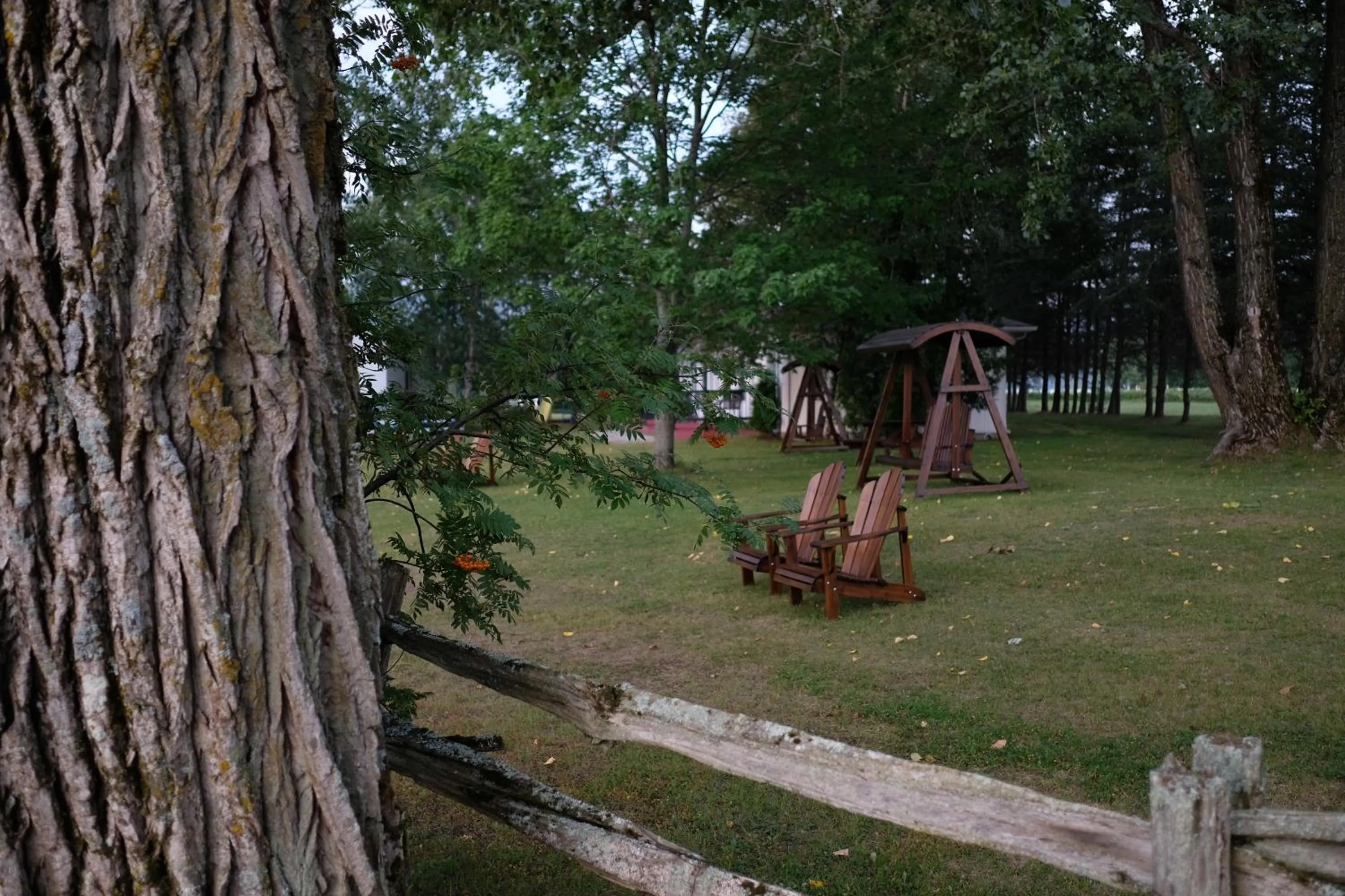 Garden in Domaine Belle Plage