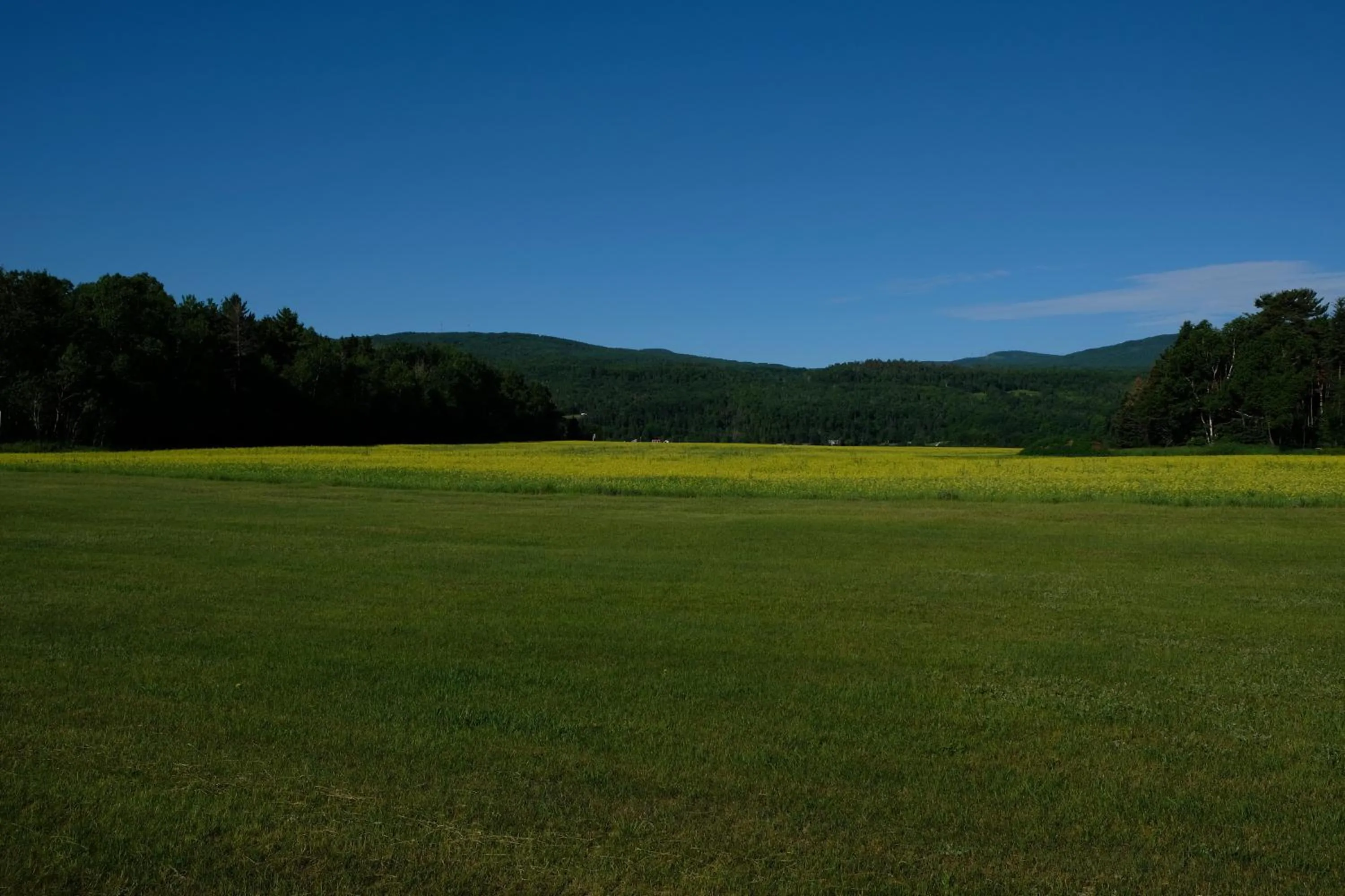 Natural landscape in Domaine Belle Plage