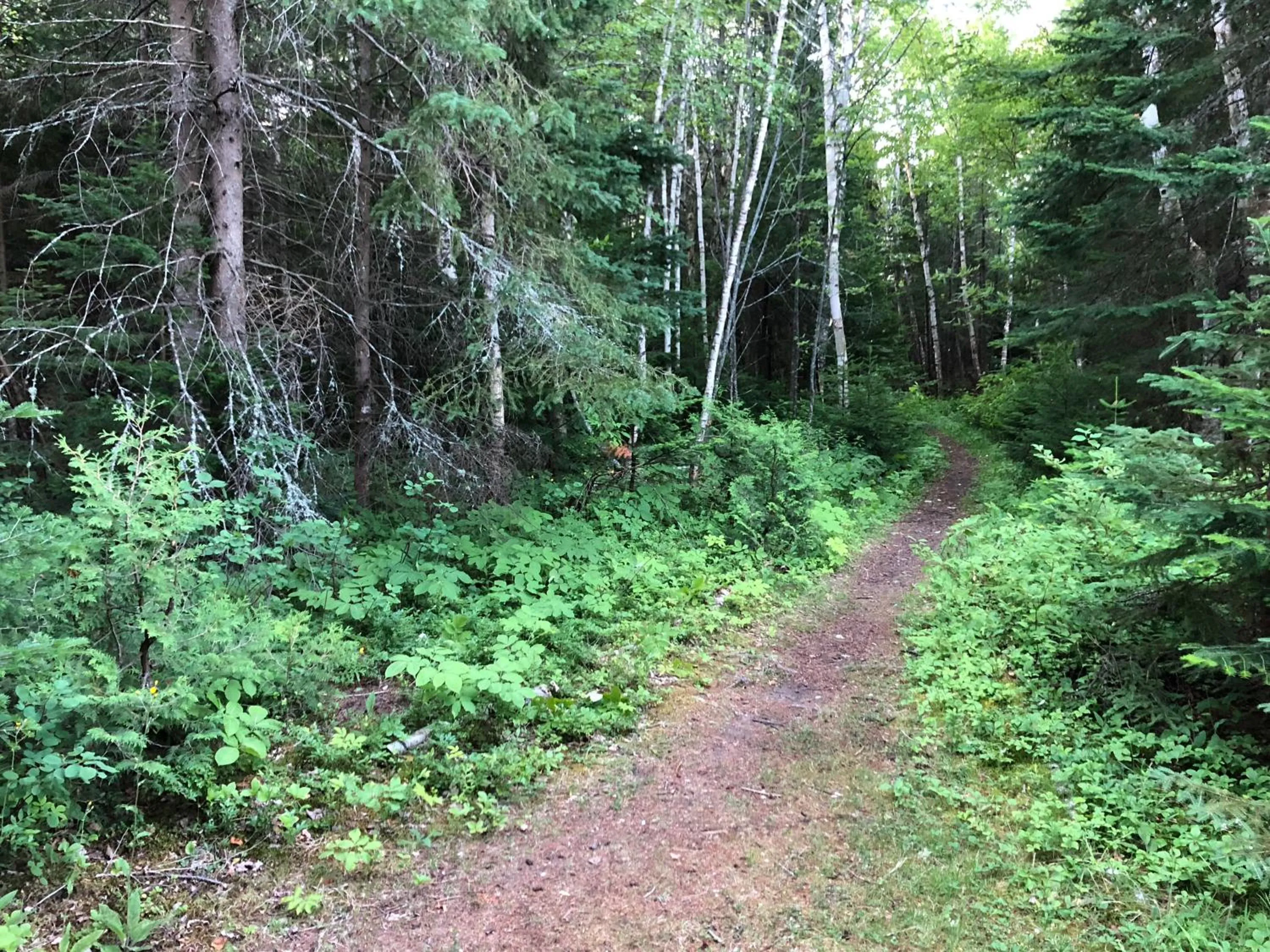 Hiking in Domaine Belle Plage