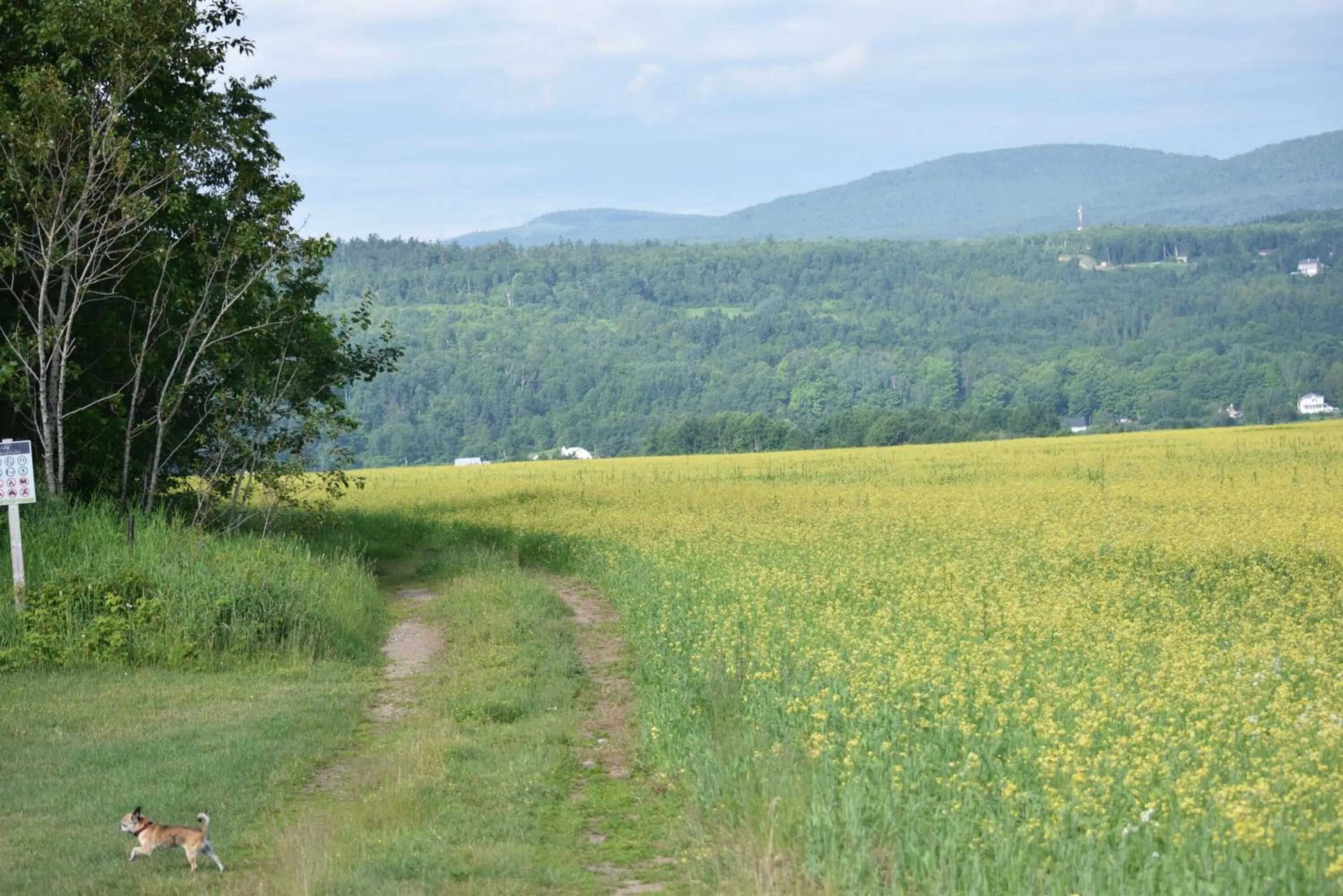 Mountain view in Domaine Belle Plage