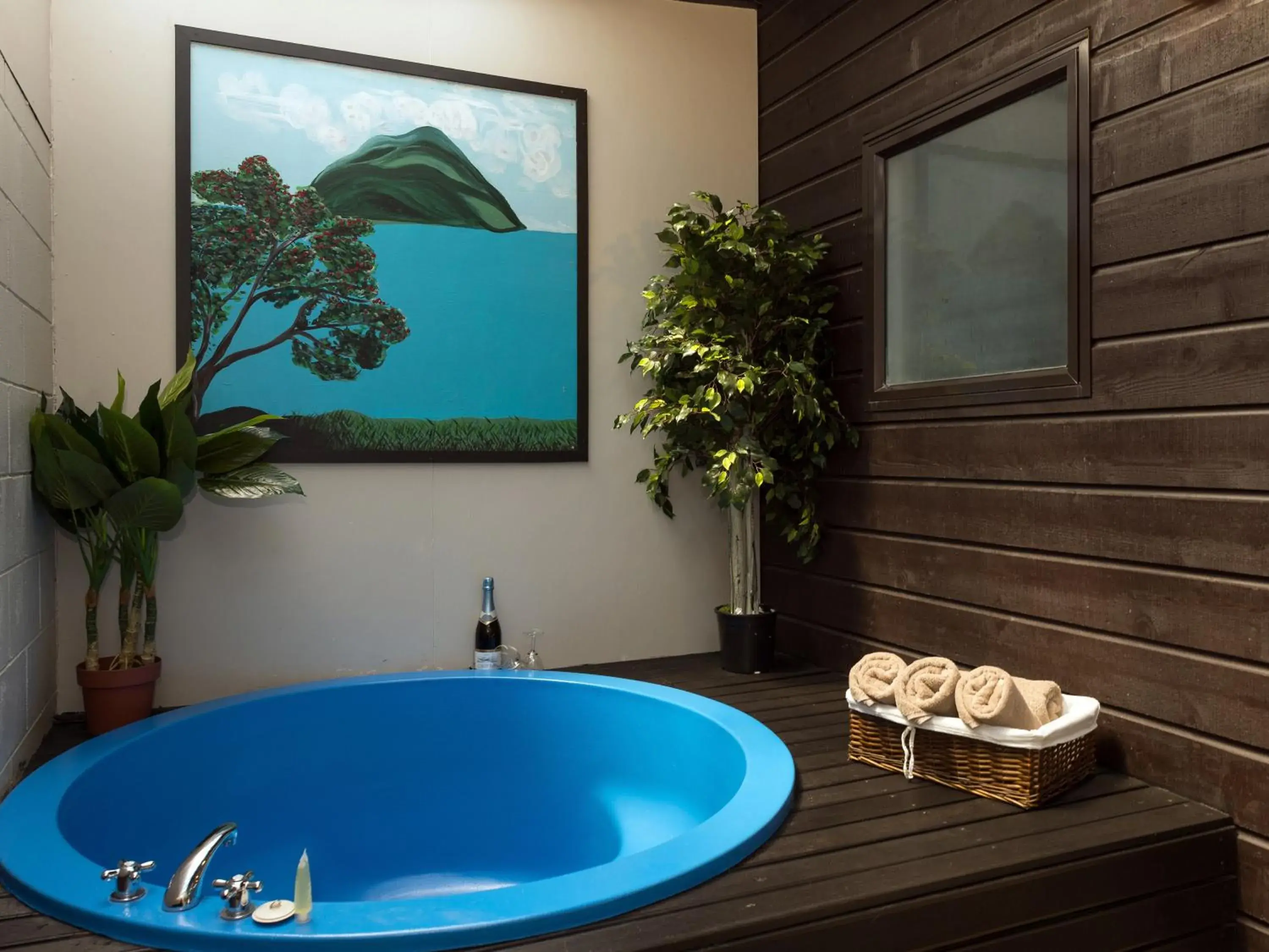 Hot Tub, Bathroom in Arista of Rotorua