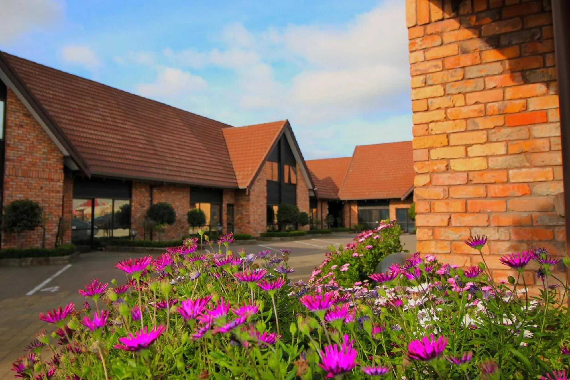 Property building in Arista of Rotorua