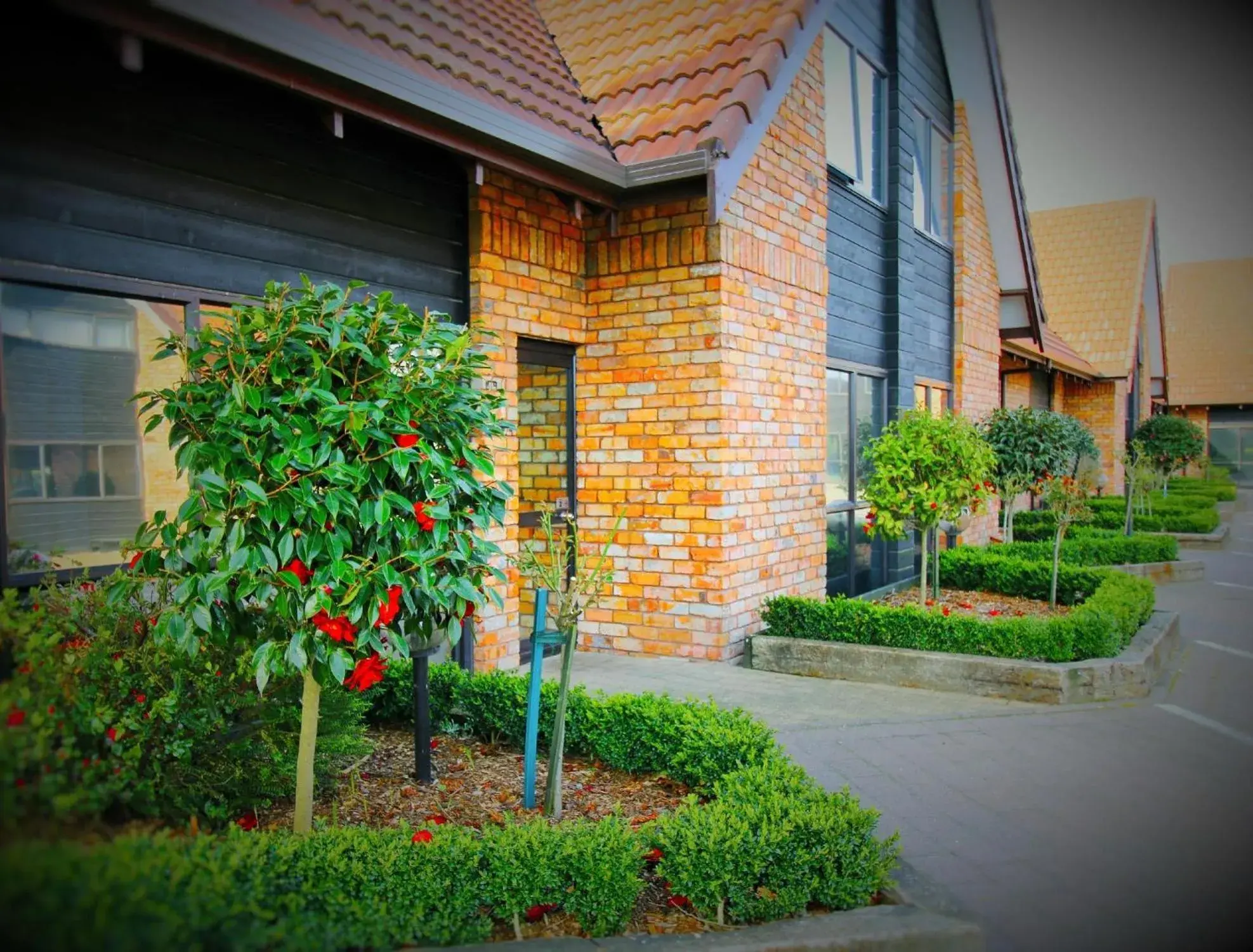 Property building in Arista of Rotorua