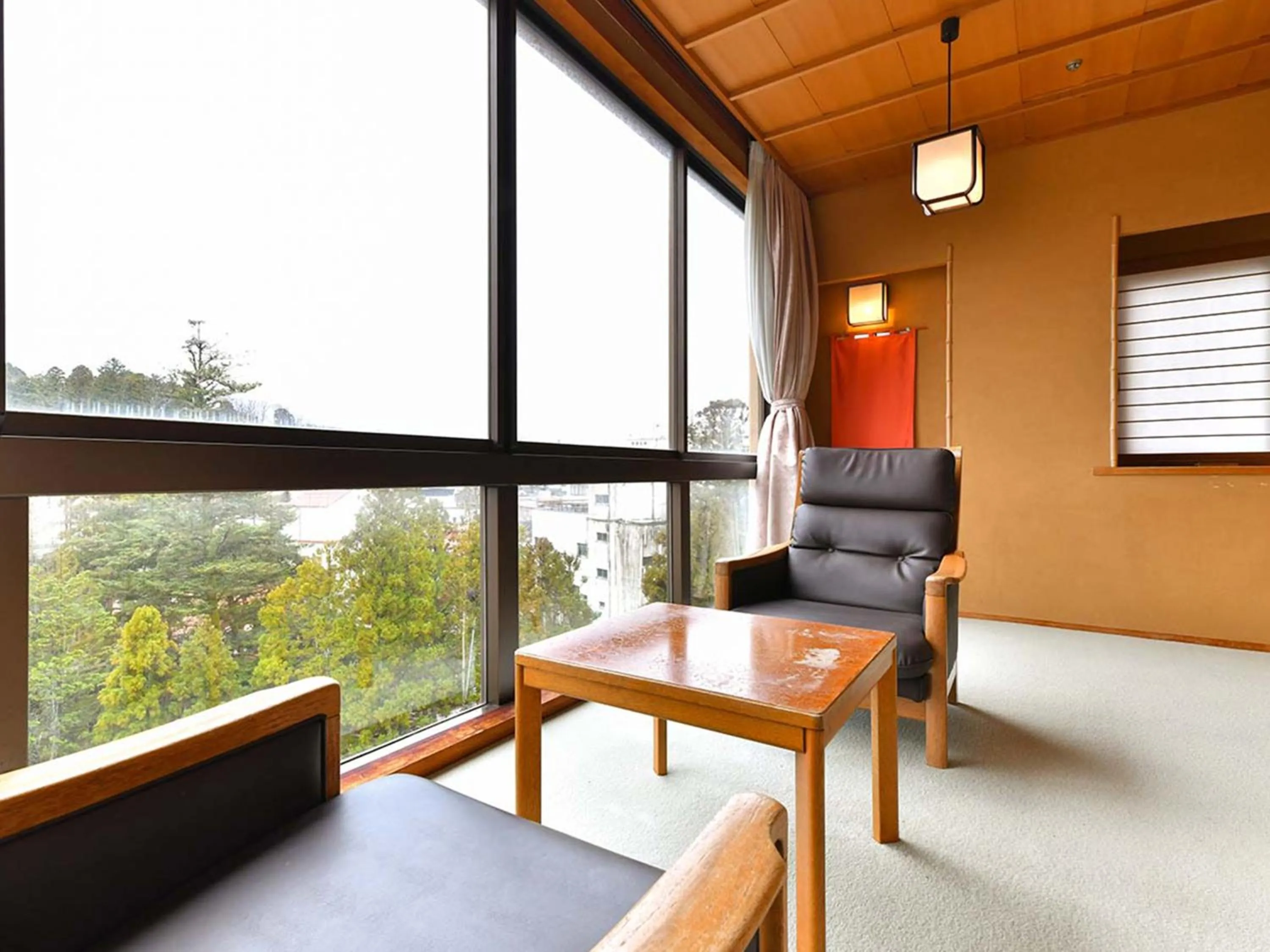 Photo of the whole room in Hoshi