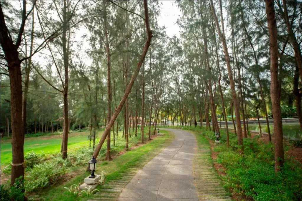 Ocean Spray Ocean Spray