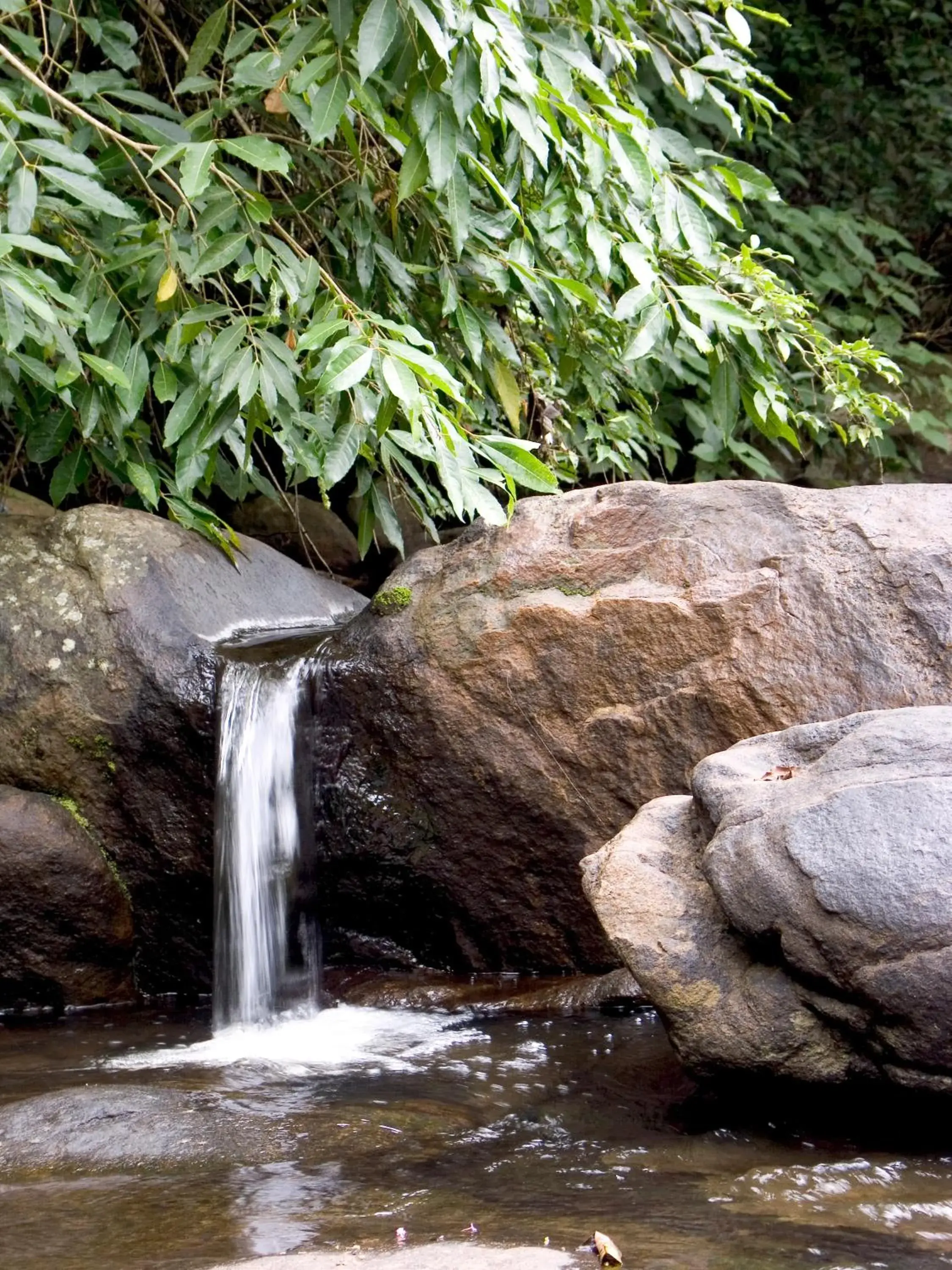 View (from property/room) in Elephant Valley Eco Farm Hotel View (from property/room) in Elephant Valley Eco Farm Hotel
