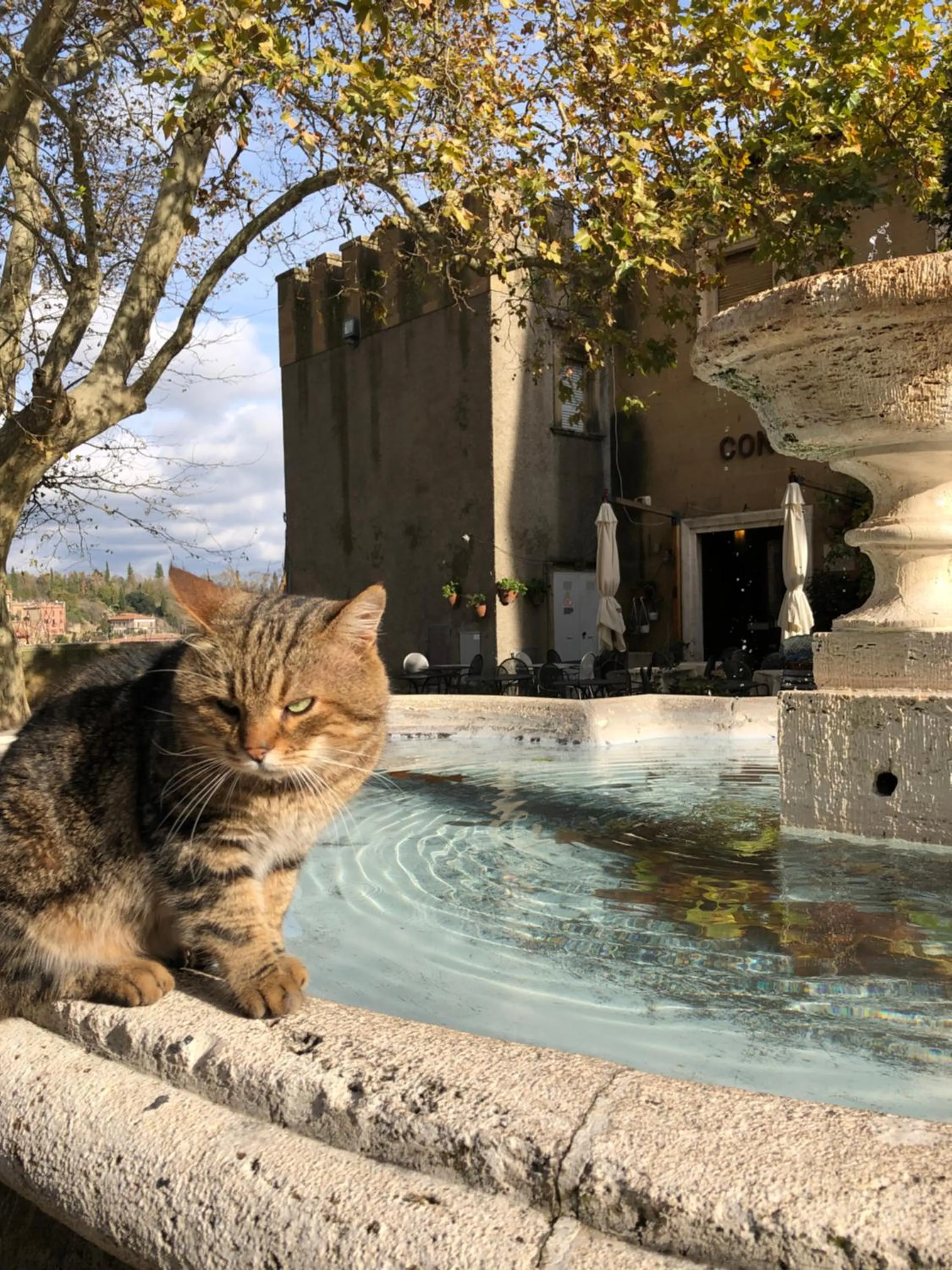 Pets in B&B Dimor'à