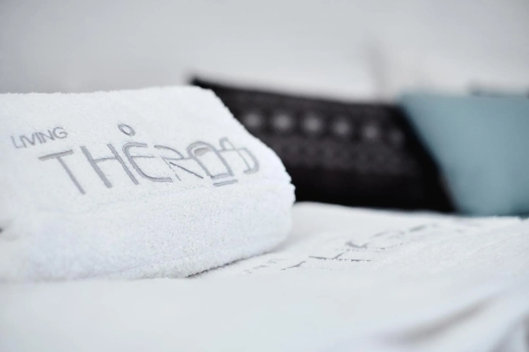 Decorative detail, Bed in Living Theros Luxury Suites