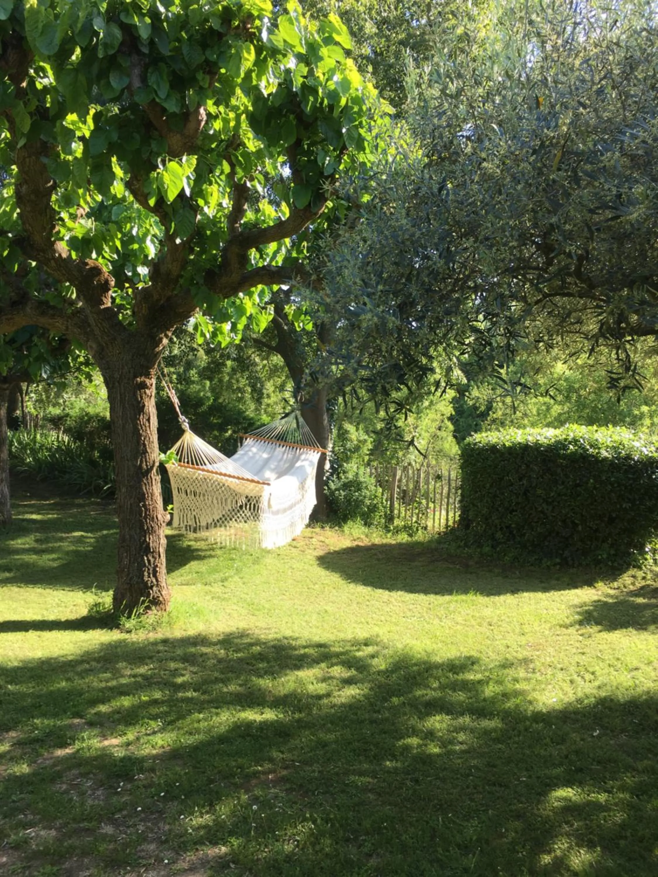 Garden in Les Olivettes le mazet