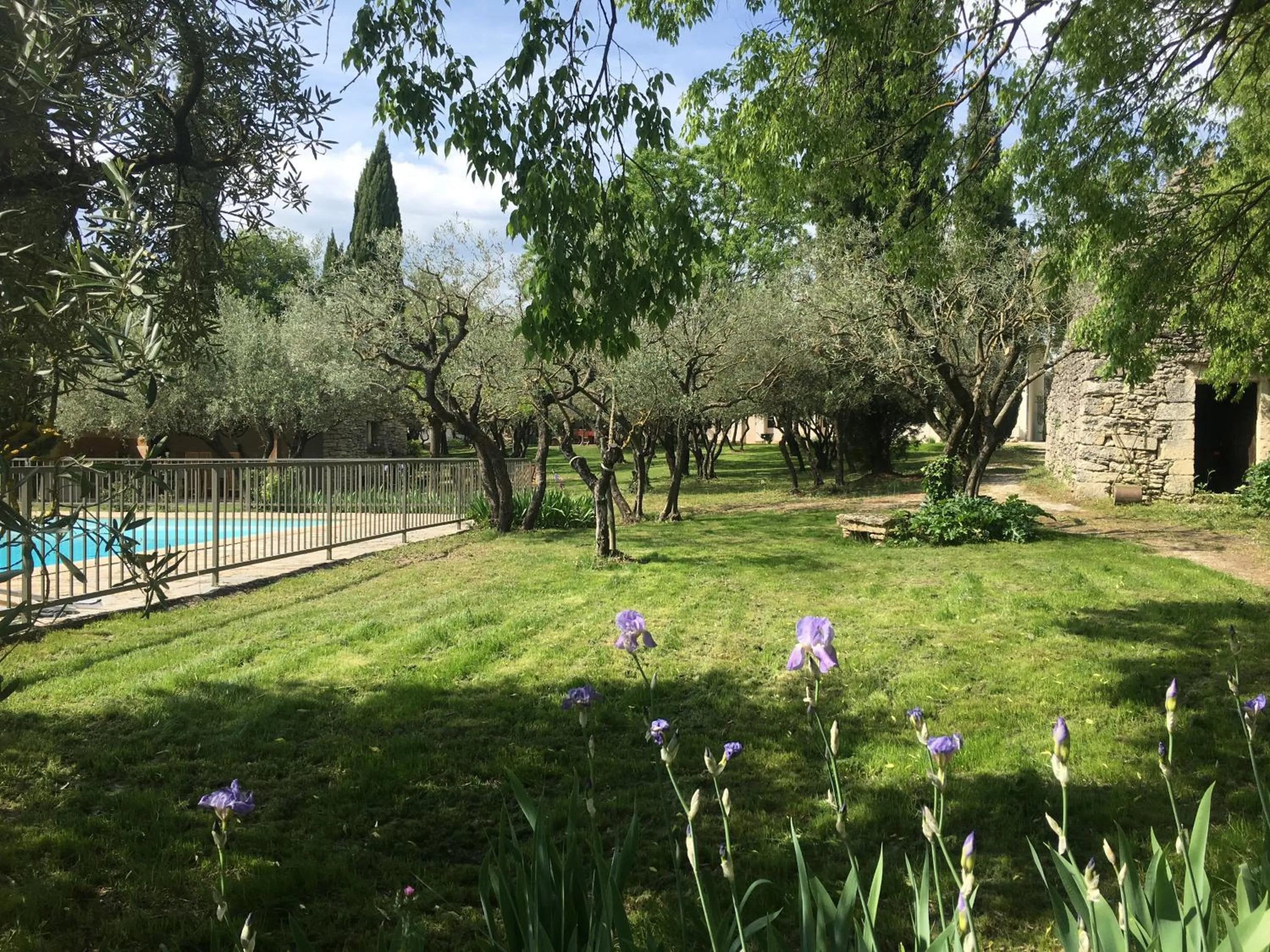 Garden in Les Olivettes le mazet