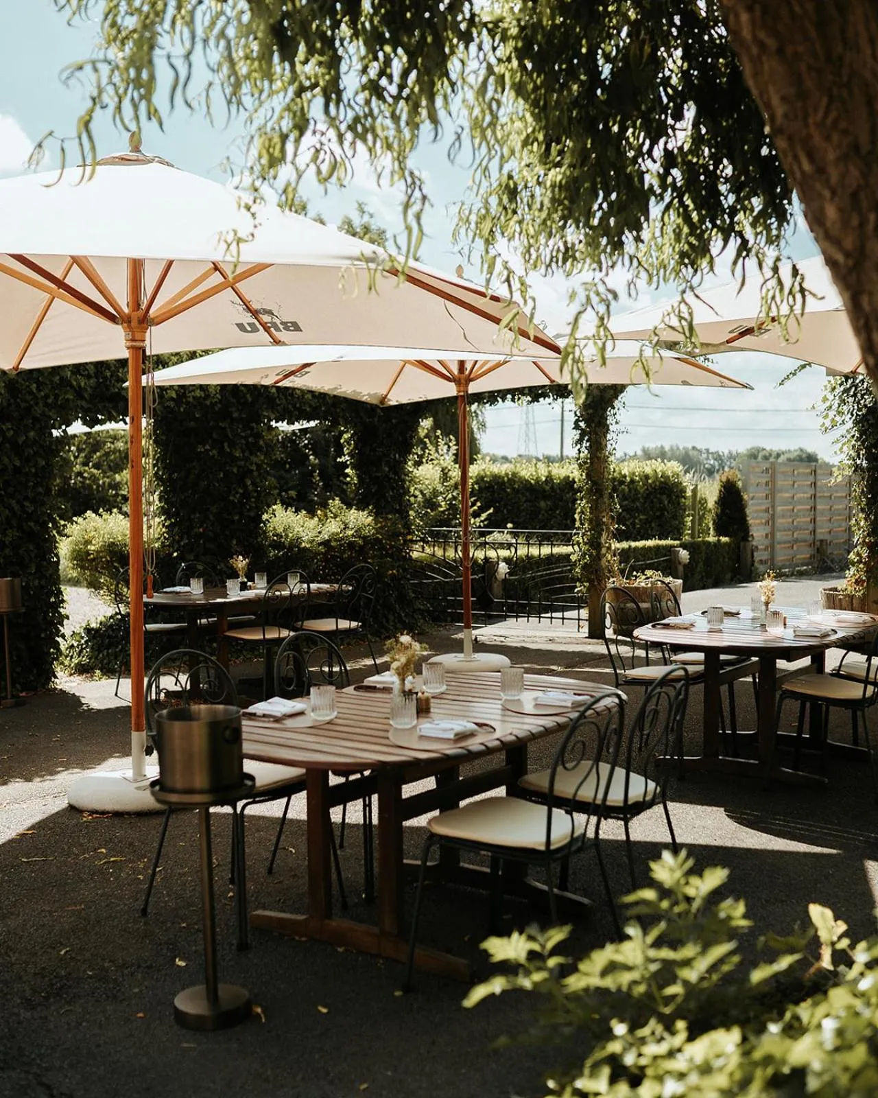 Balcony/Terrace in Hotel Ter Zuidhoek