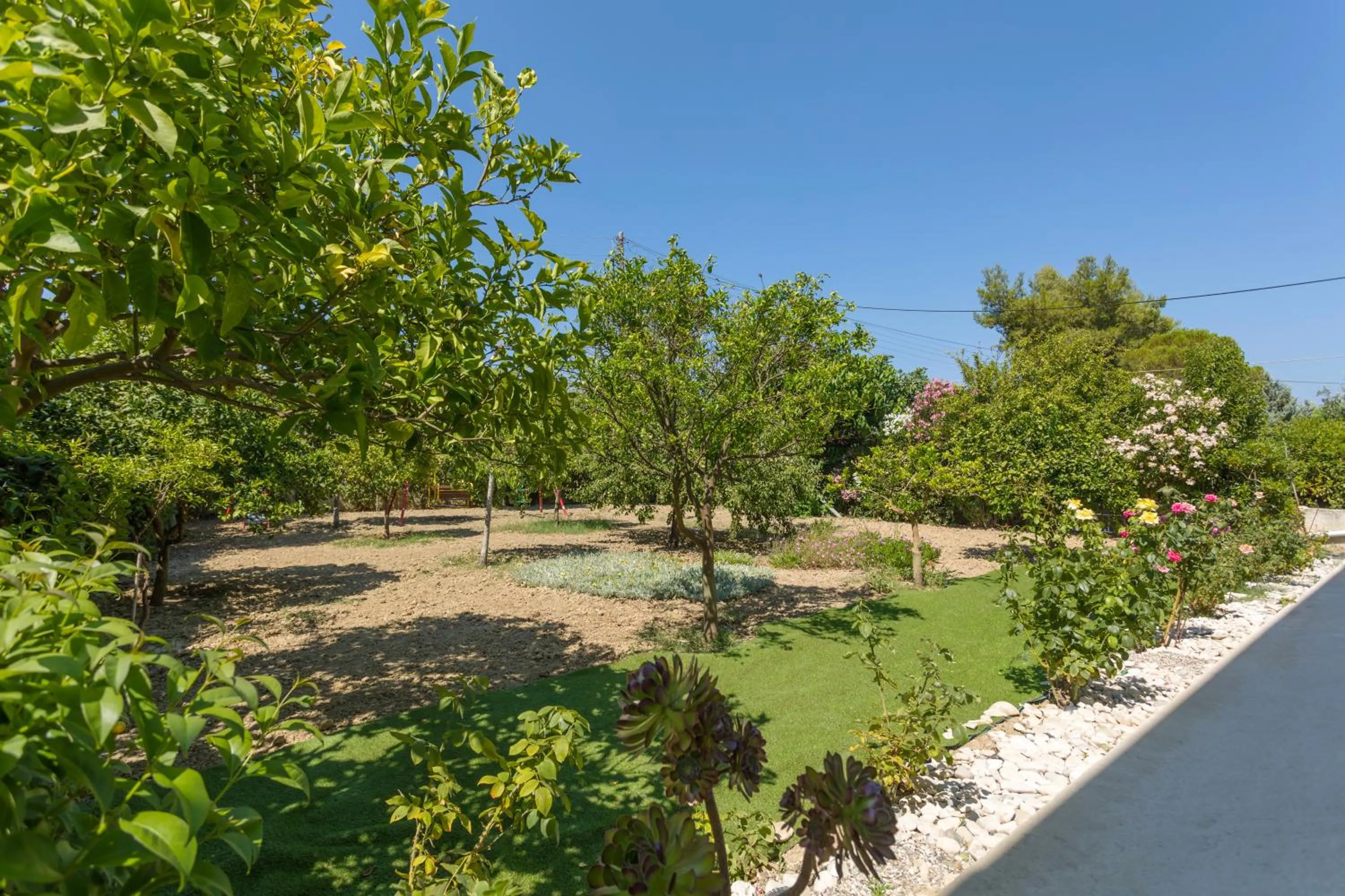 Garden in Studio Stars