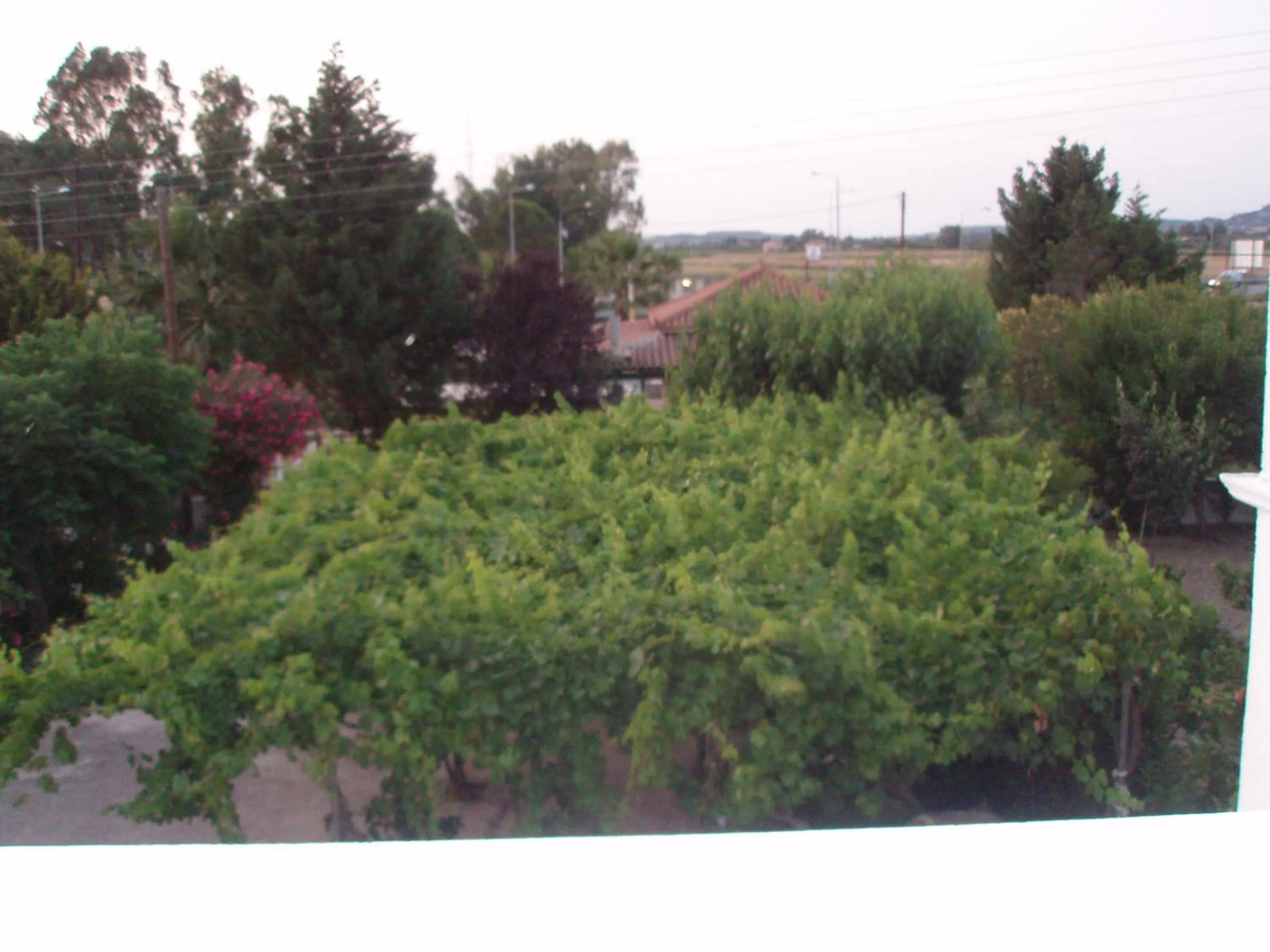 Natural landscape in Studio Stars