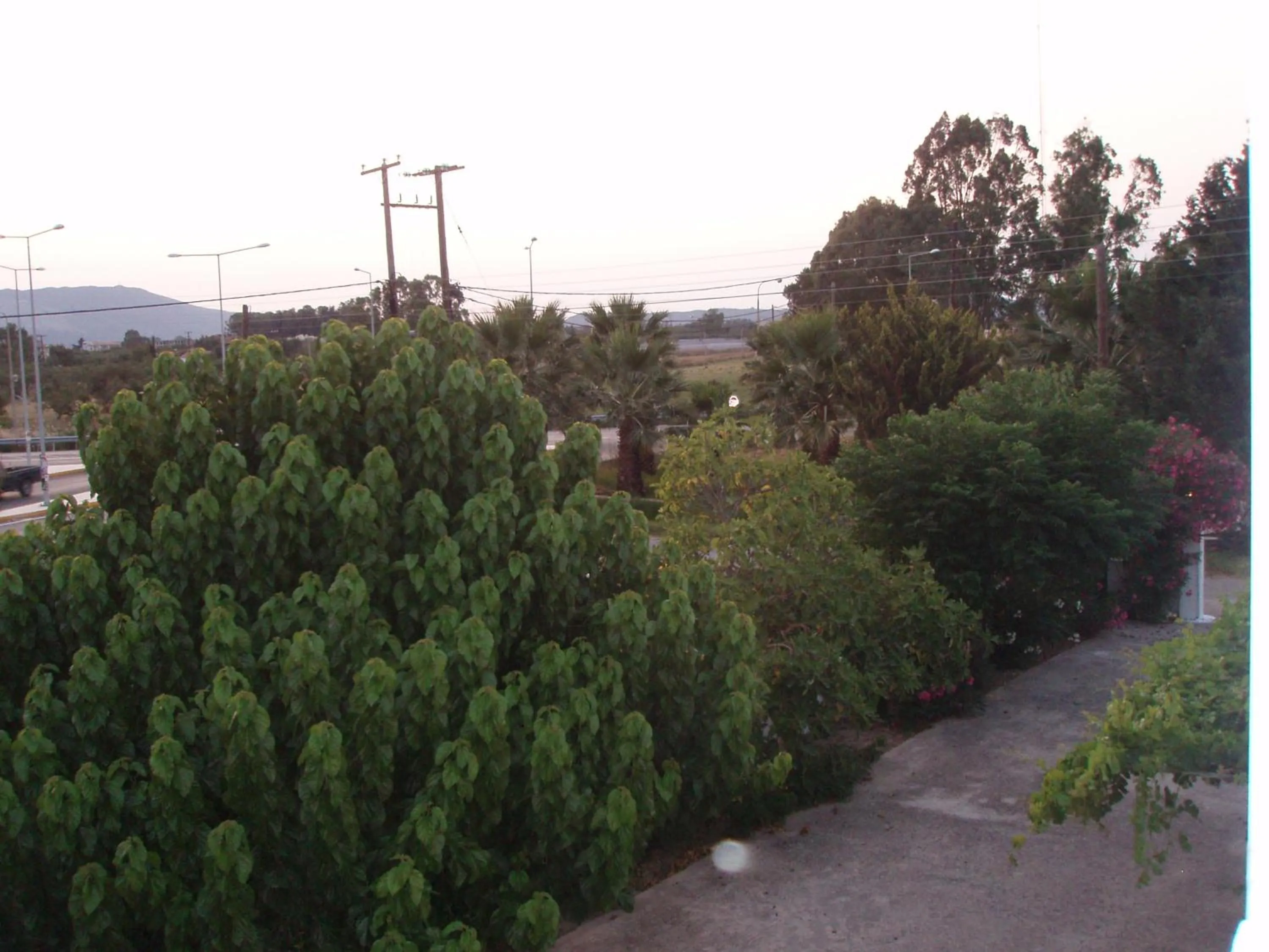 Natural landscape in Studio Stars