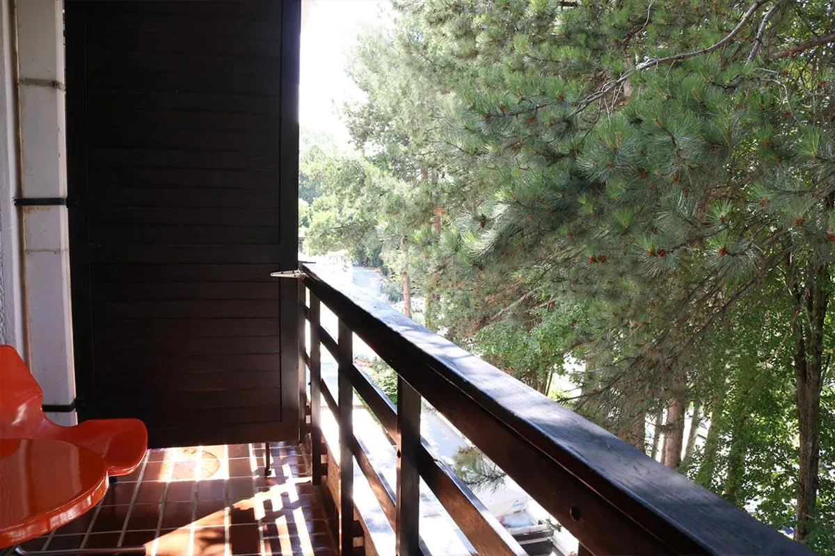 Balcony/Terrace in Hotel Pela