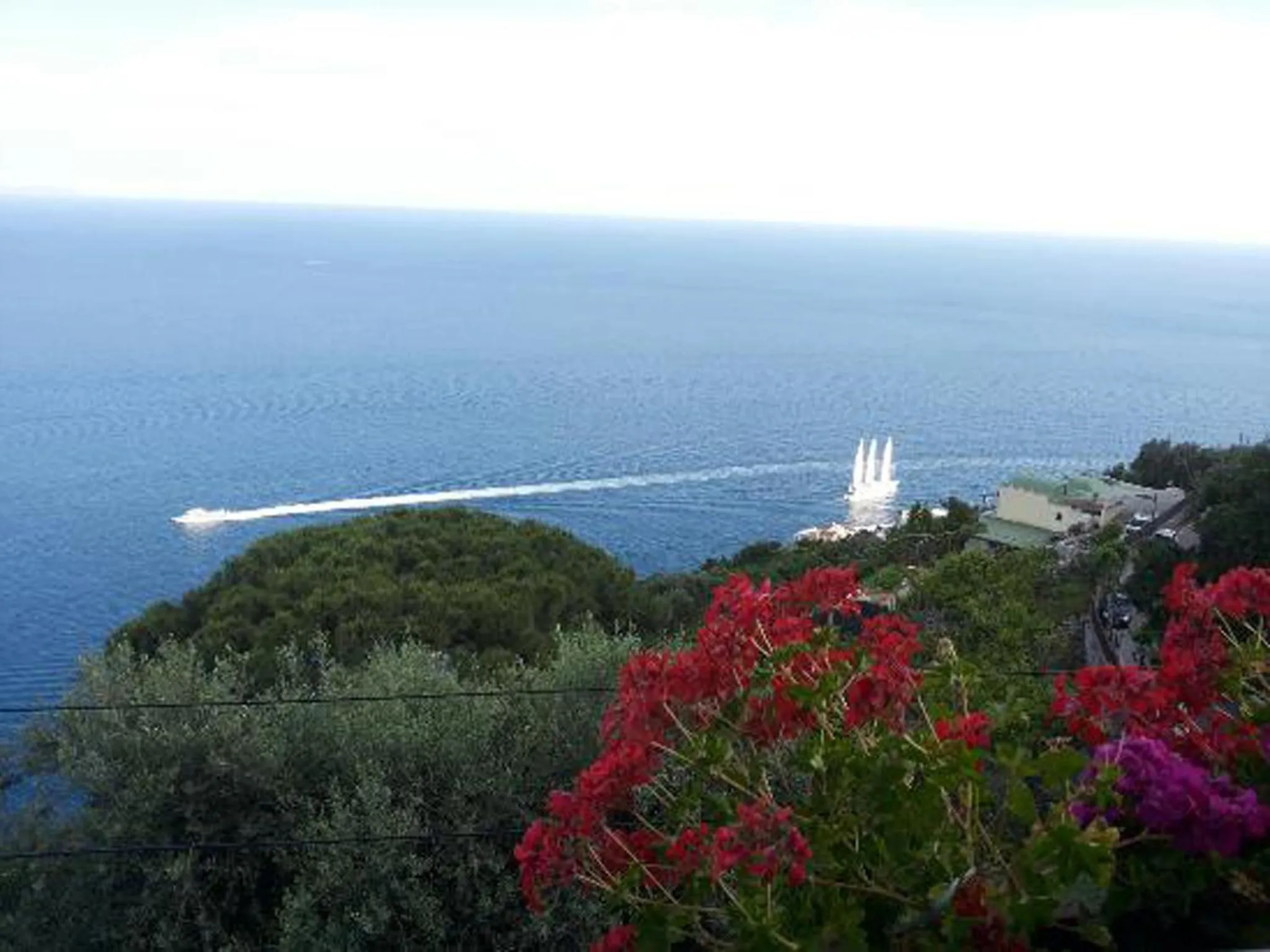 View (from property/room) in B&B Il Pavone