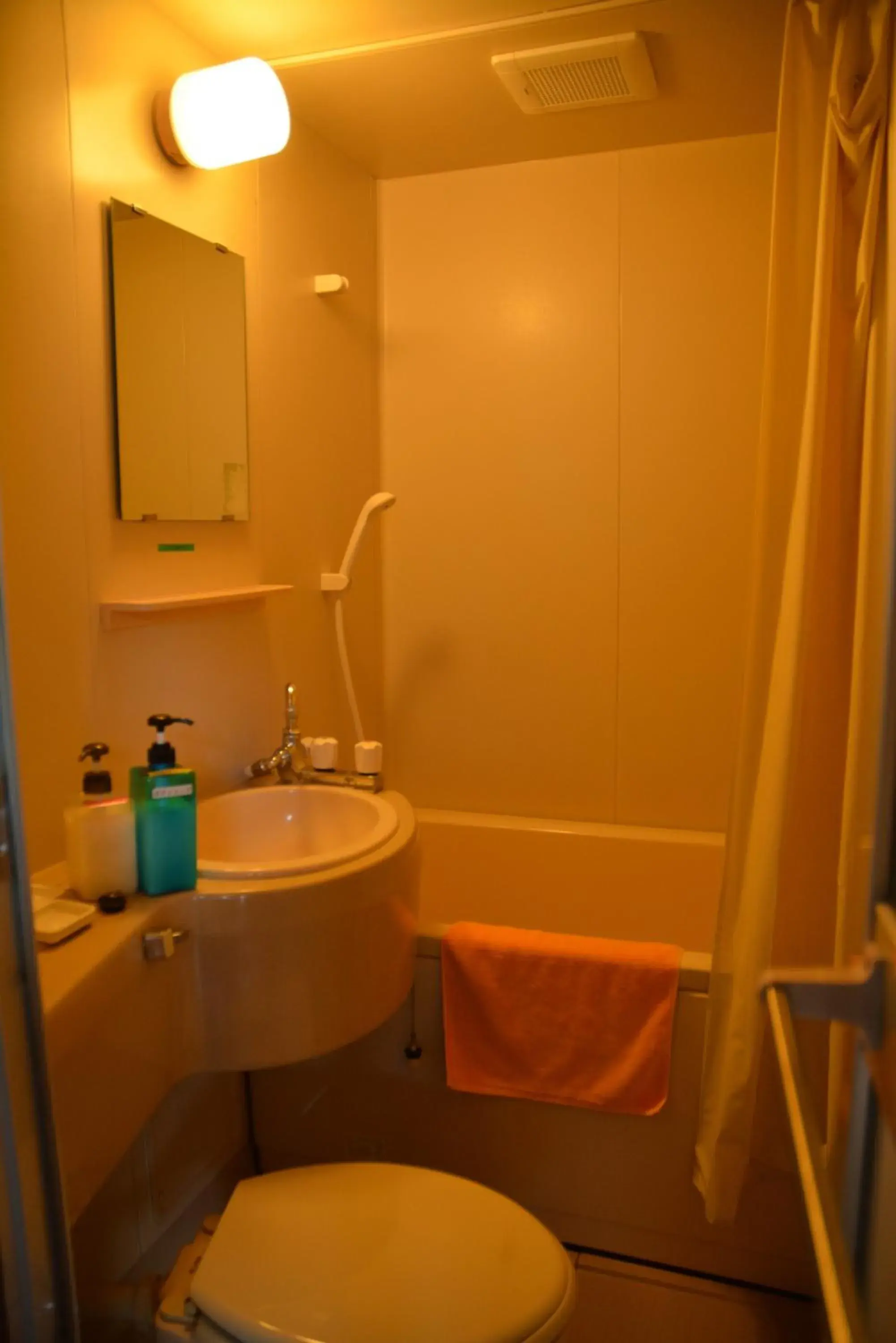 Photo of the whole room, Bathroom in Hotel Mont Blanc Hakuba