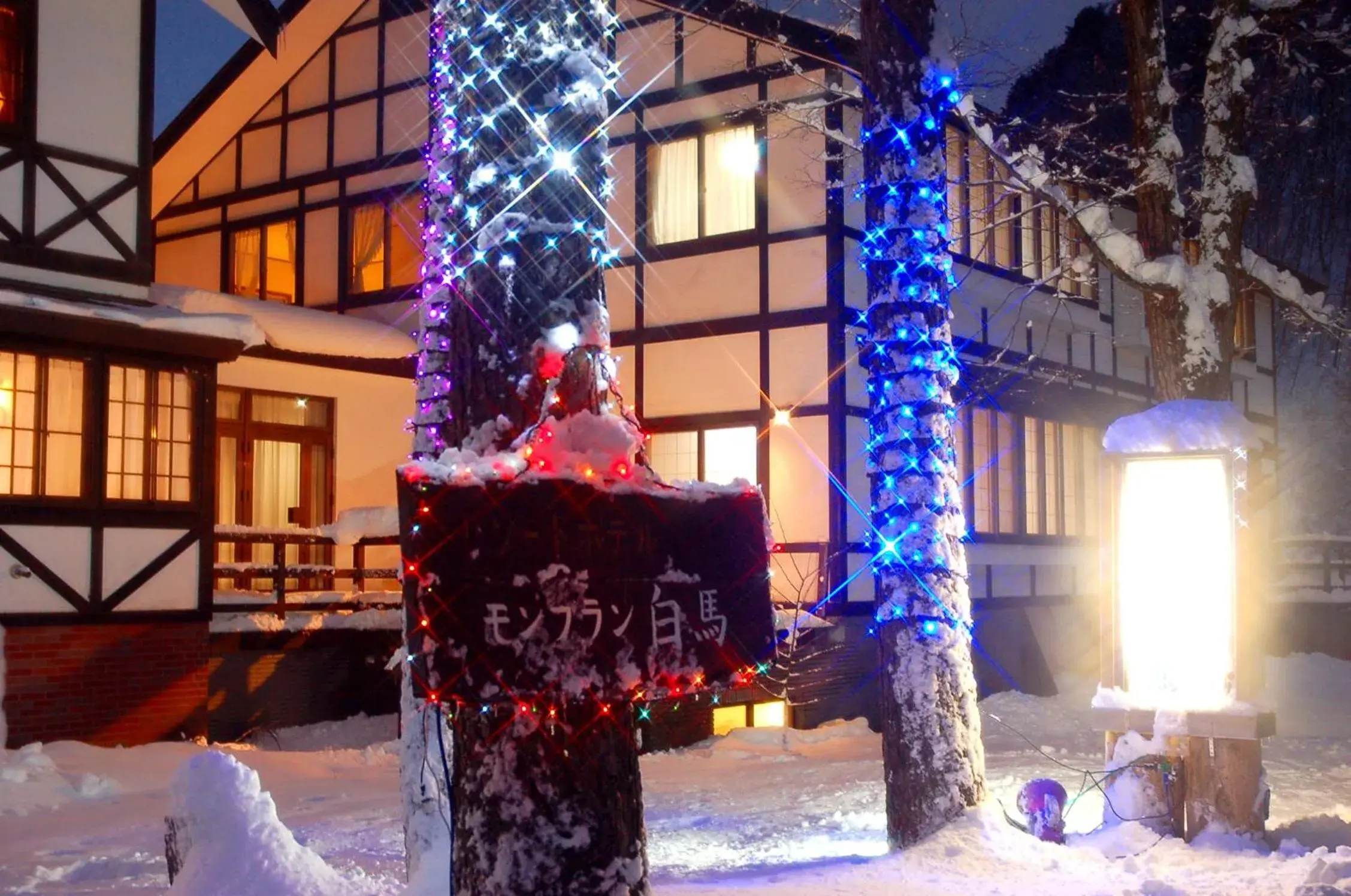 Hotel Mont Blanc Hakuba