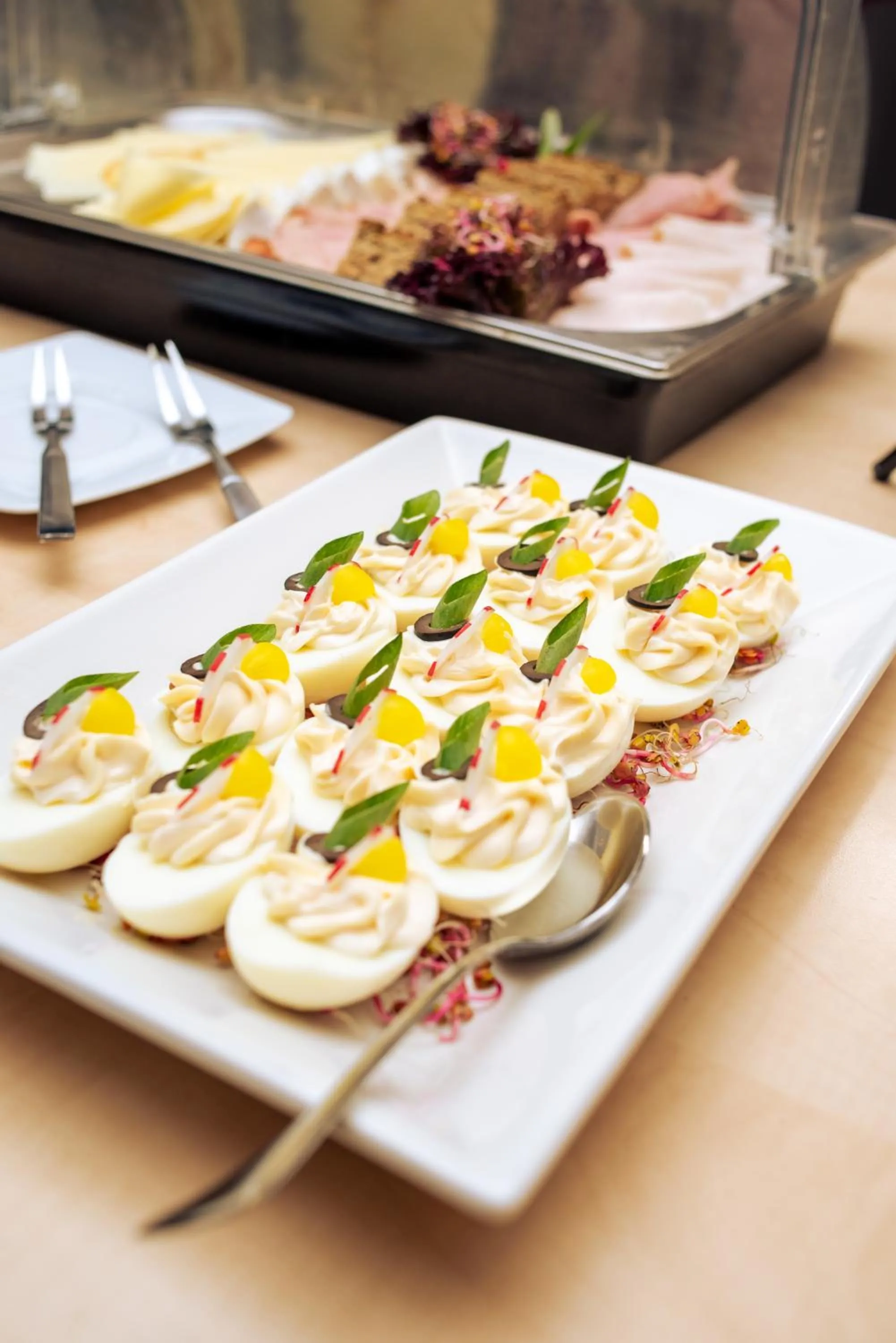 Food and drinks in Hotel Logos