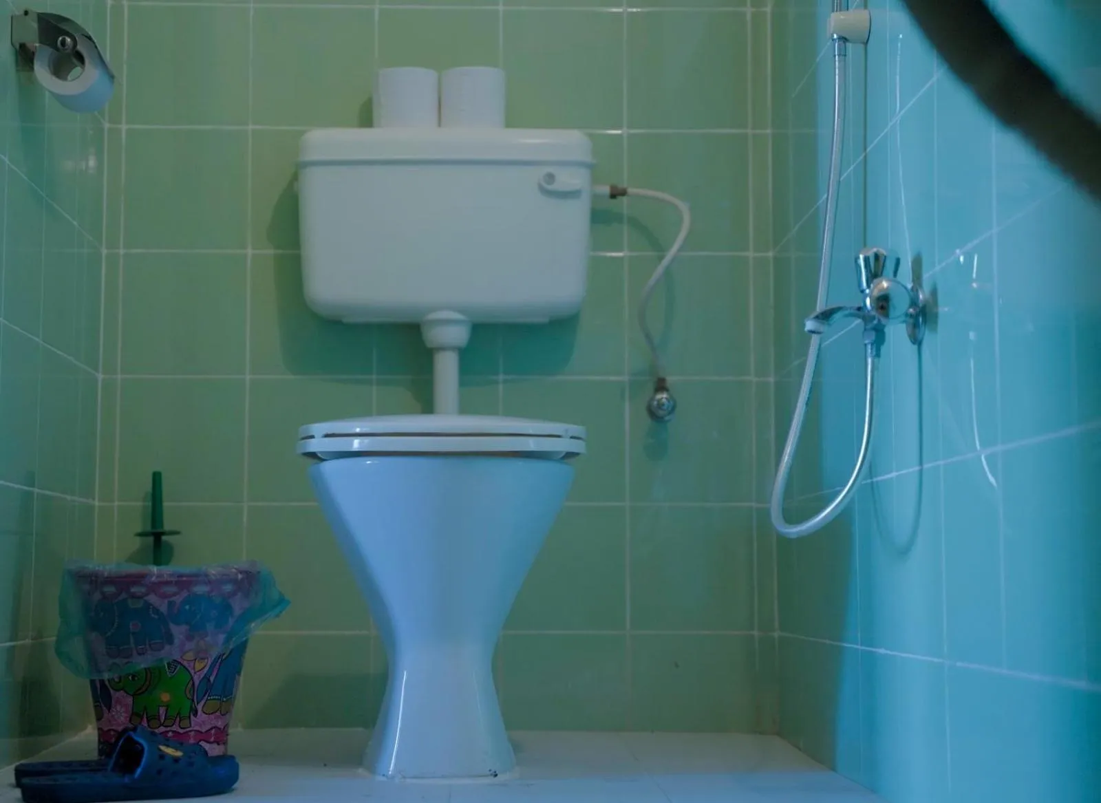 Toilet in Sapana Village Lodge