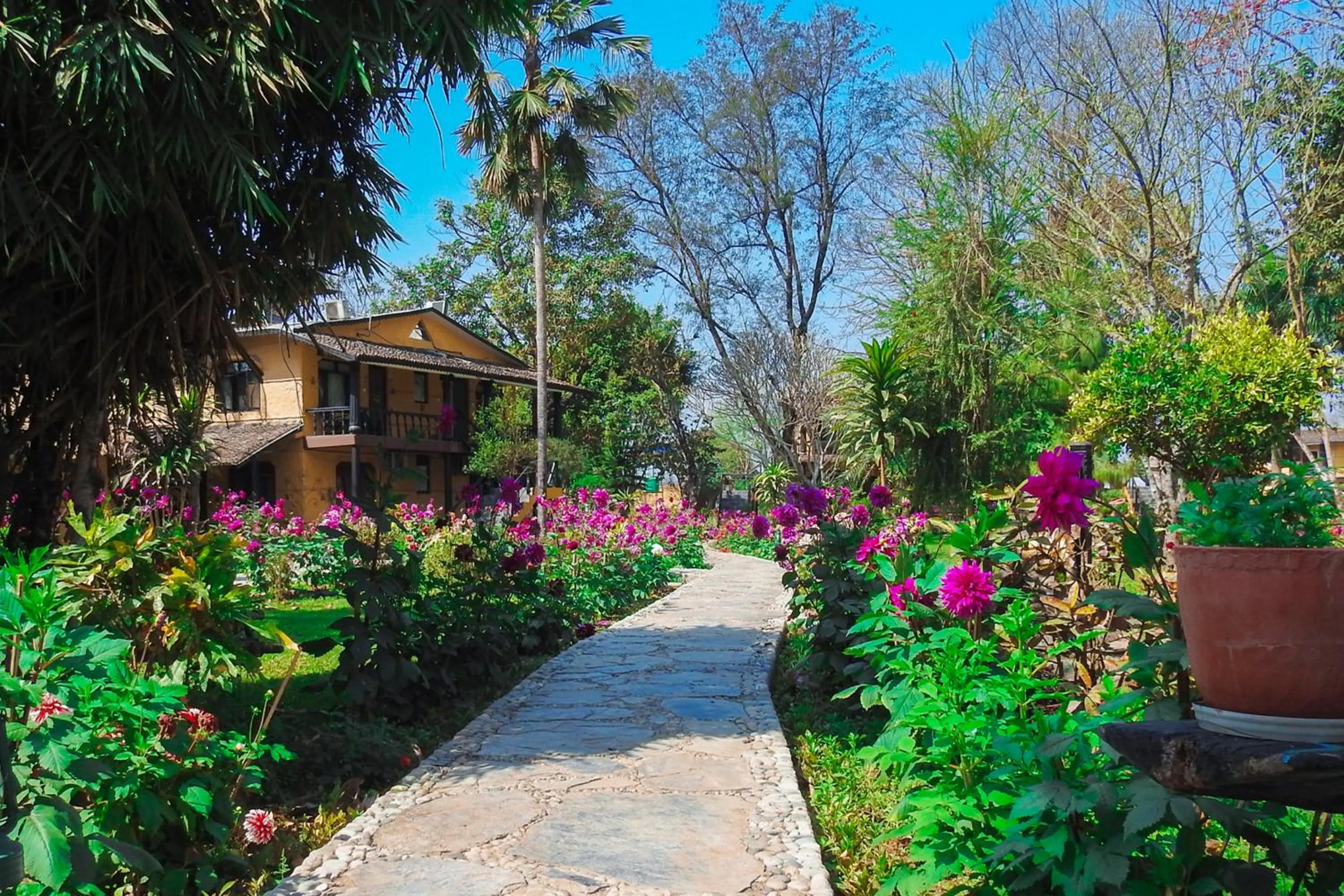 Garden in Sapana Village Lodge