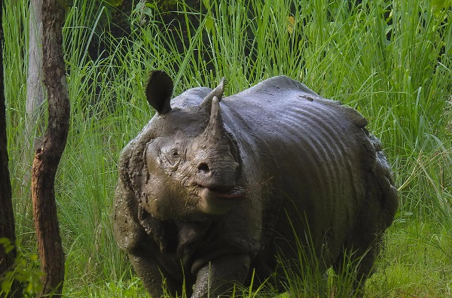 Activities in Sapana Village Lodge