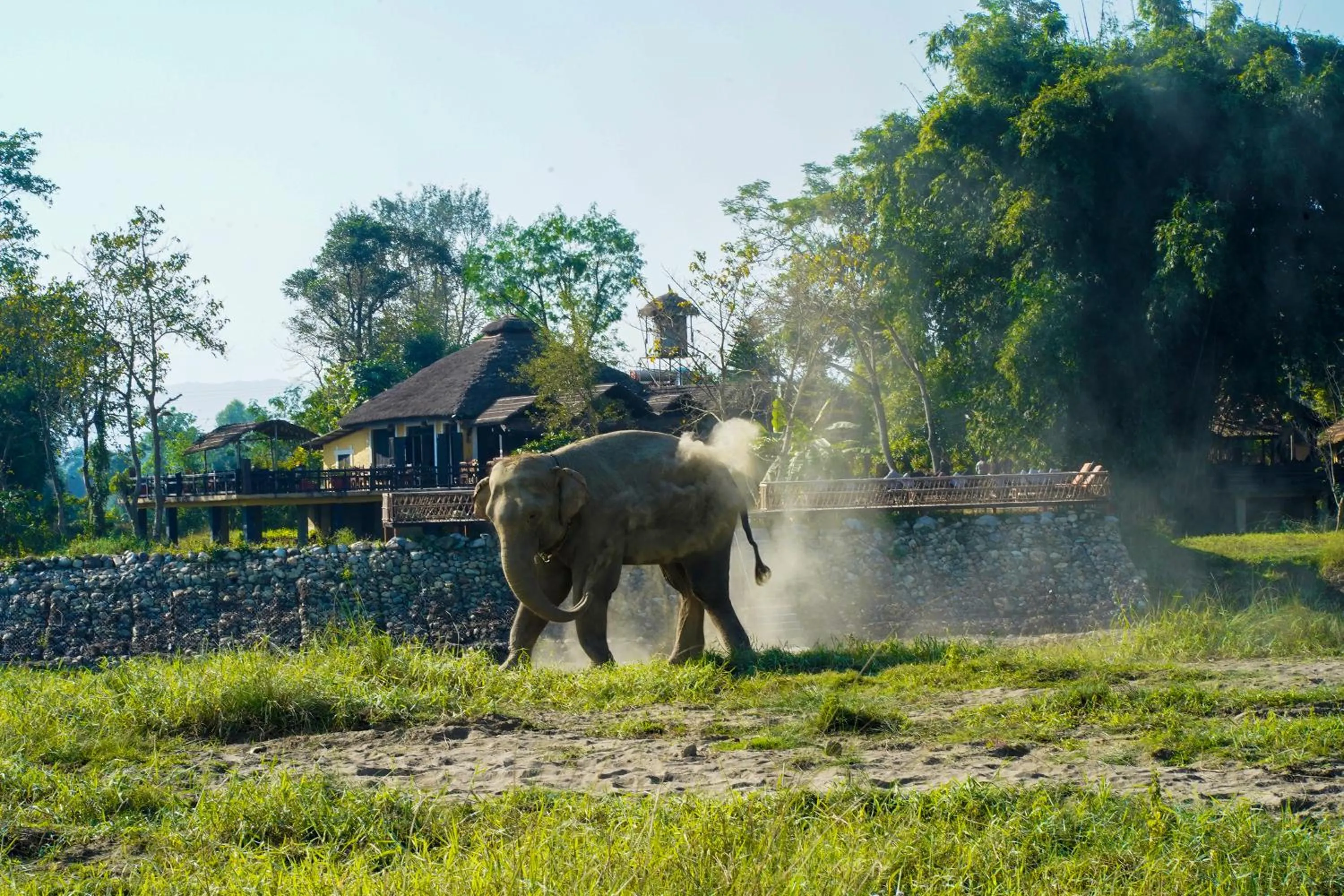 Restaurant/places to eat in Sapana Village Lodge