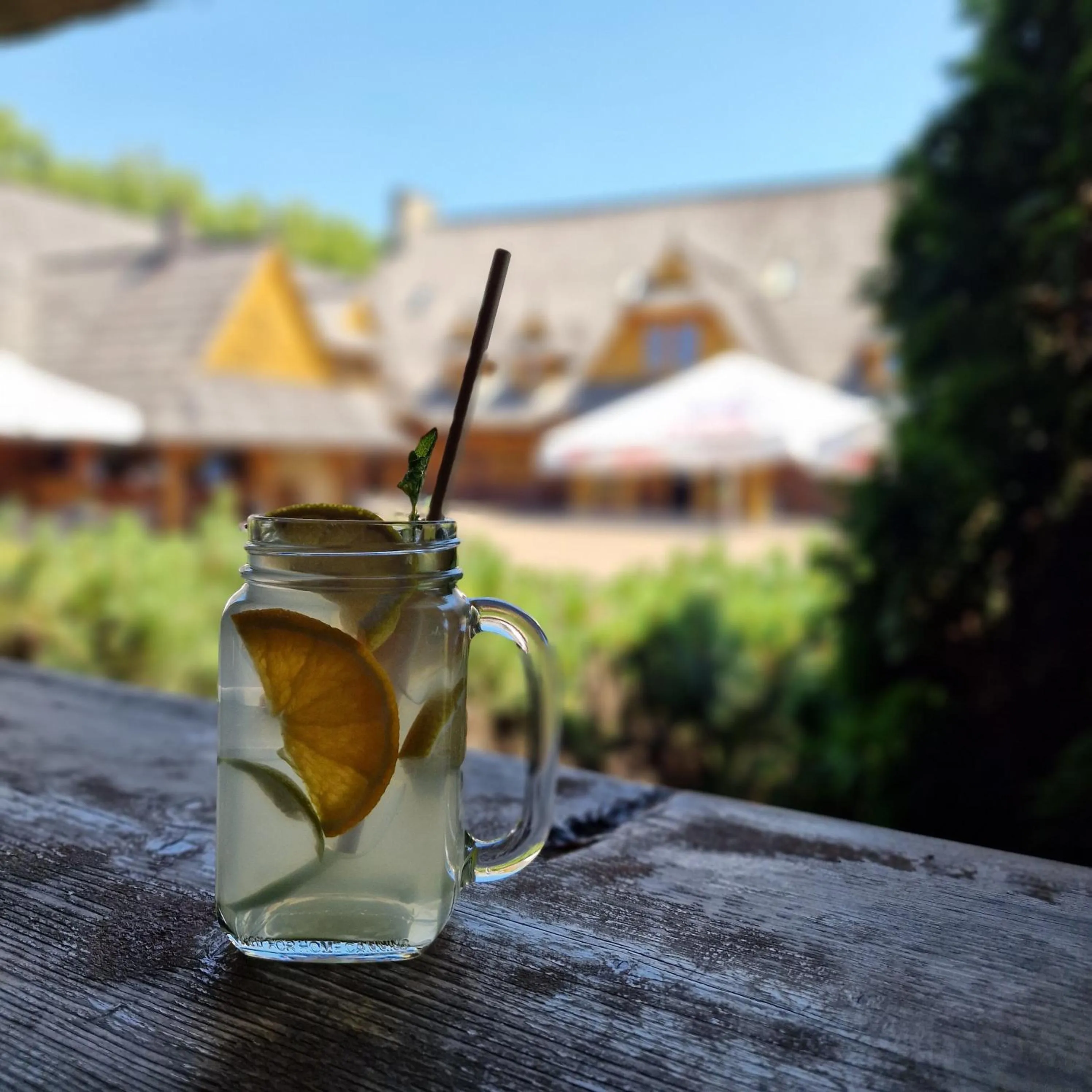 Restaurant/places to eat in Hotel Panorama