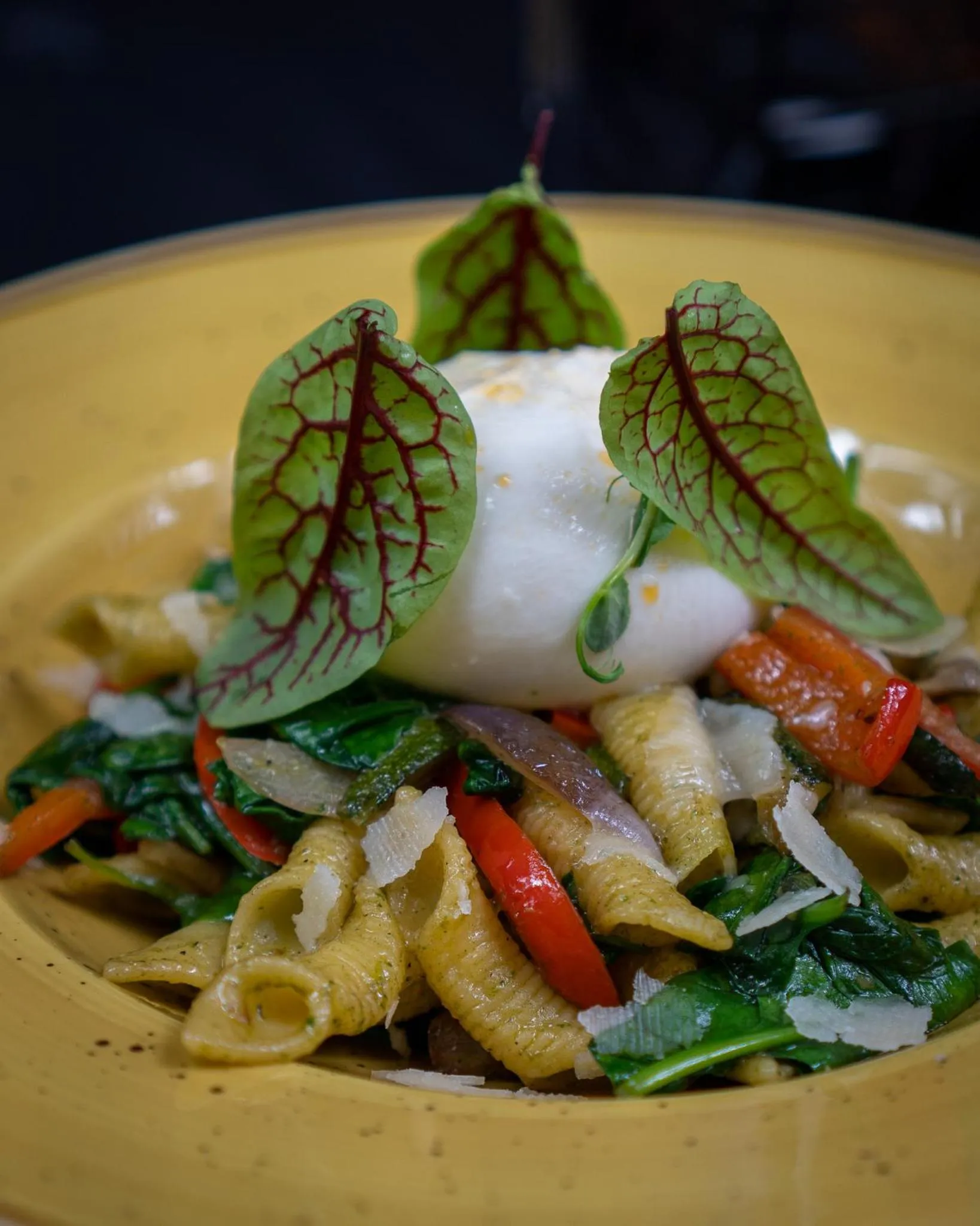 Restaurant/places to eat in Hotel Panorama