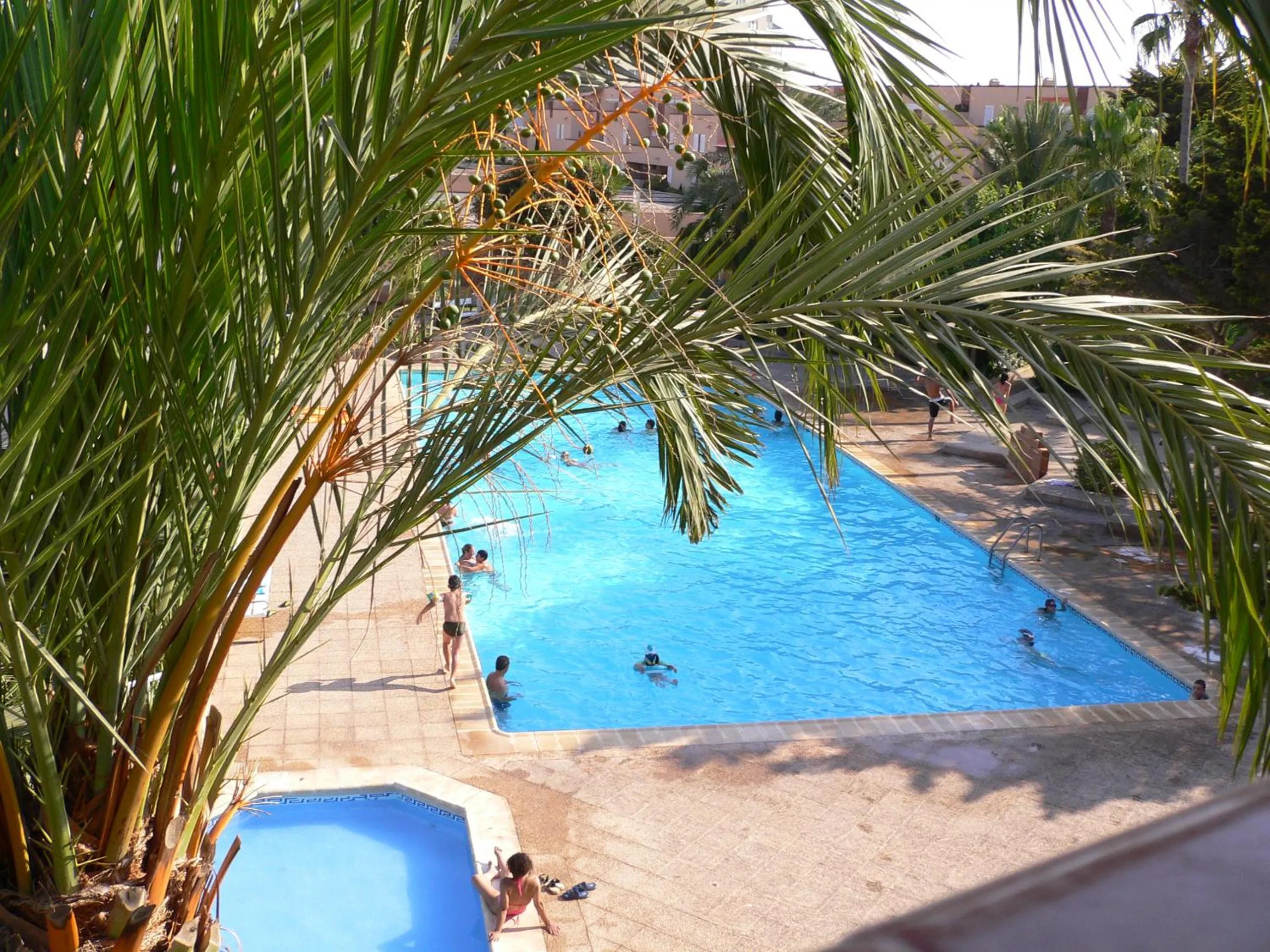 Swimming pool in Inmovecos apart con piscina Alisios 227