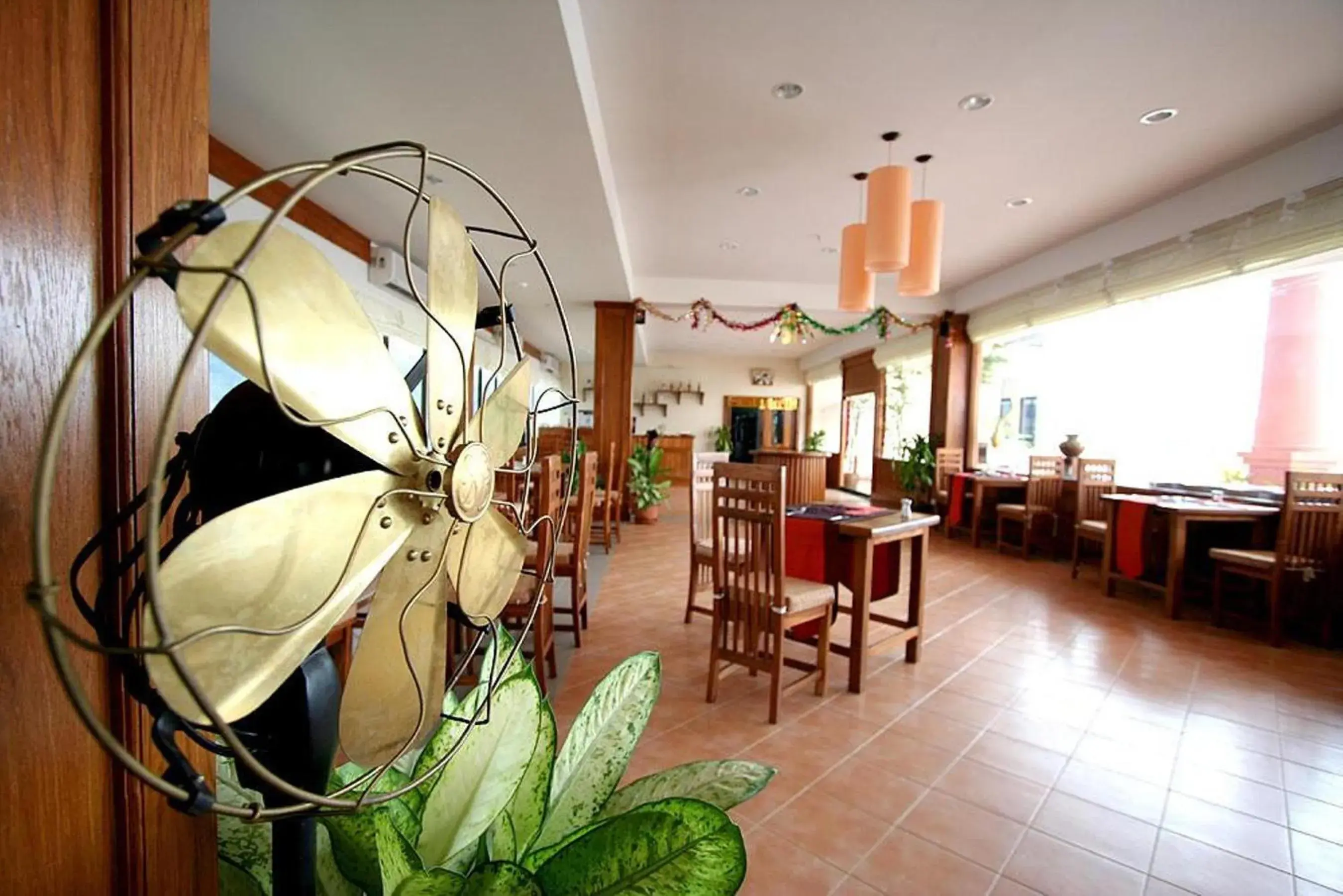 Restaurant/places to eat in Bel Aire Patong Restaurant/places to eat in Bel Aire Patong