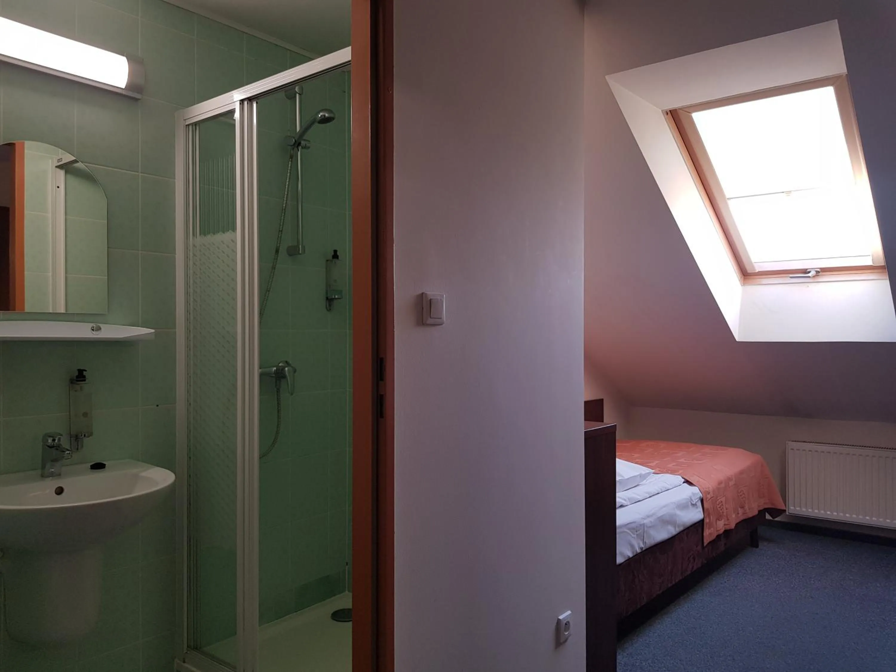 Bathroom, Bed in Hotel Panorama