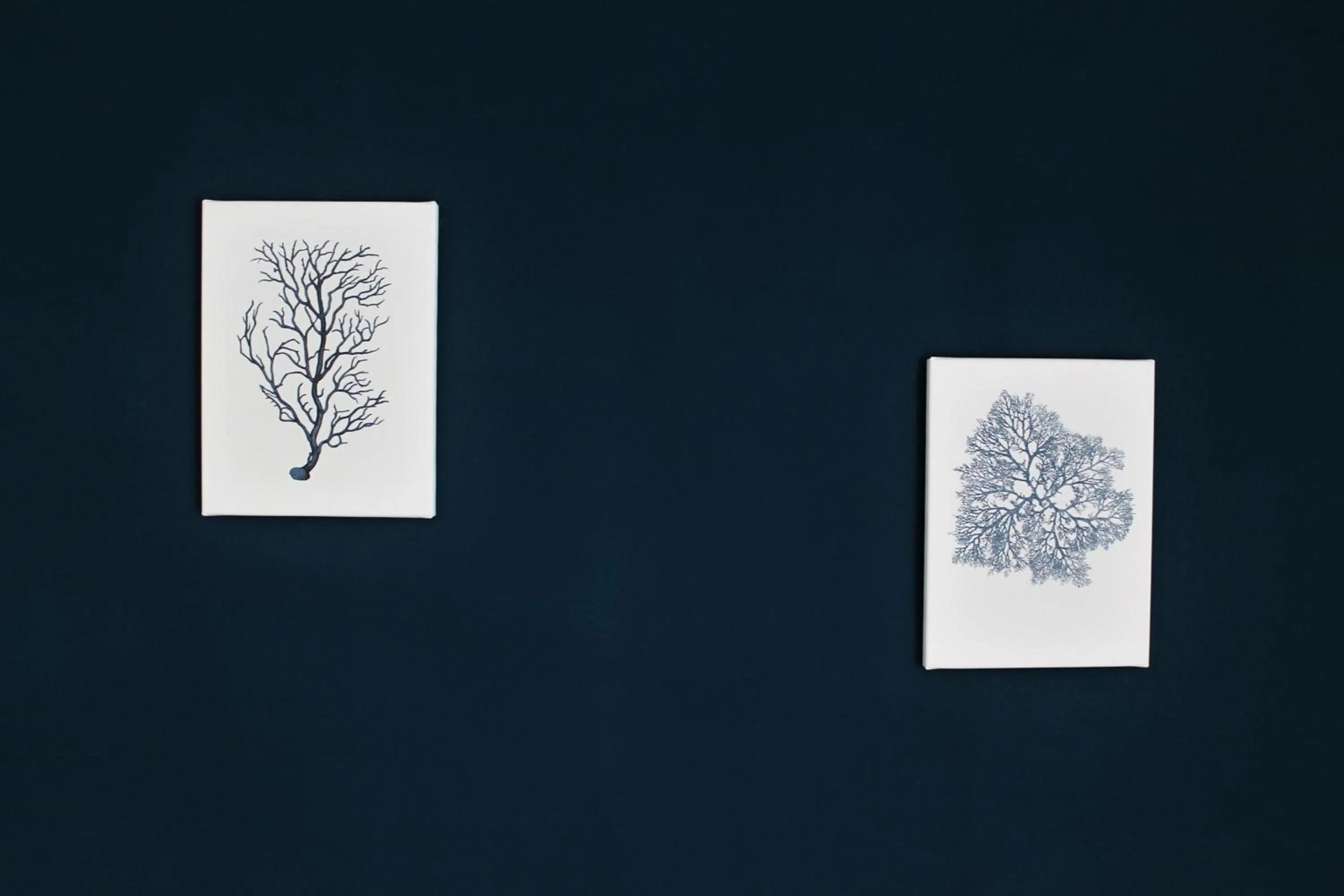 AHR Leonis Residence La Maddalena