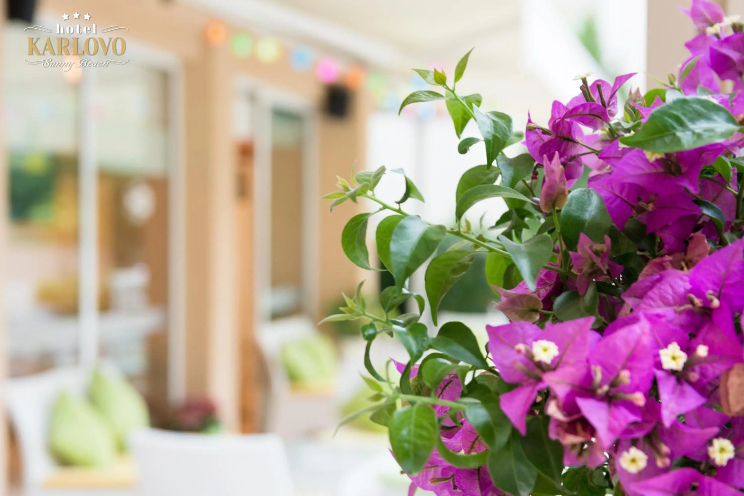 Garden, Bed in Karlovo Hotel