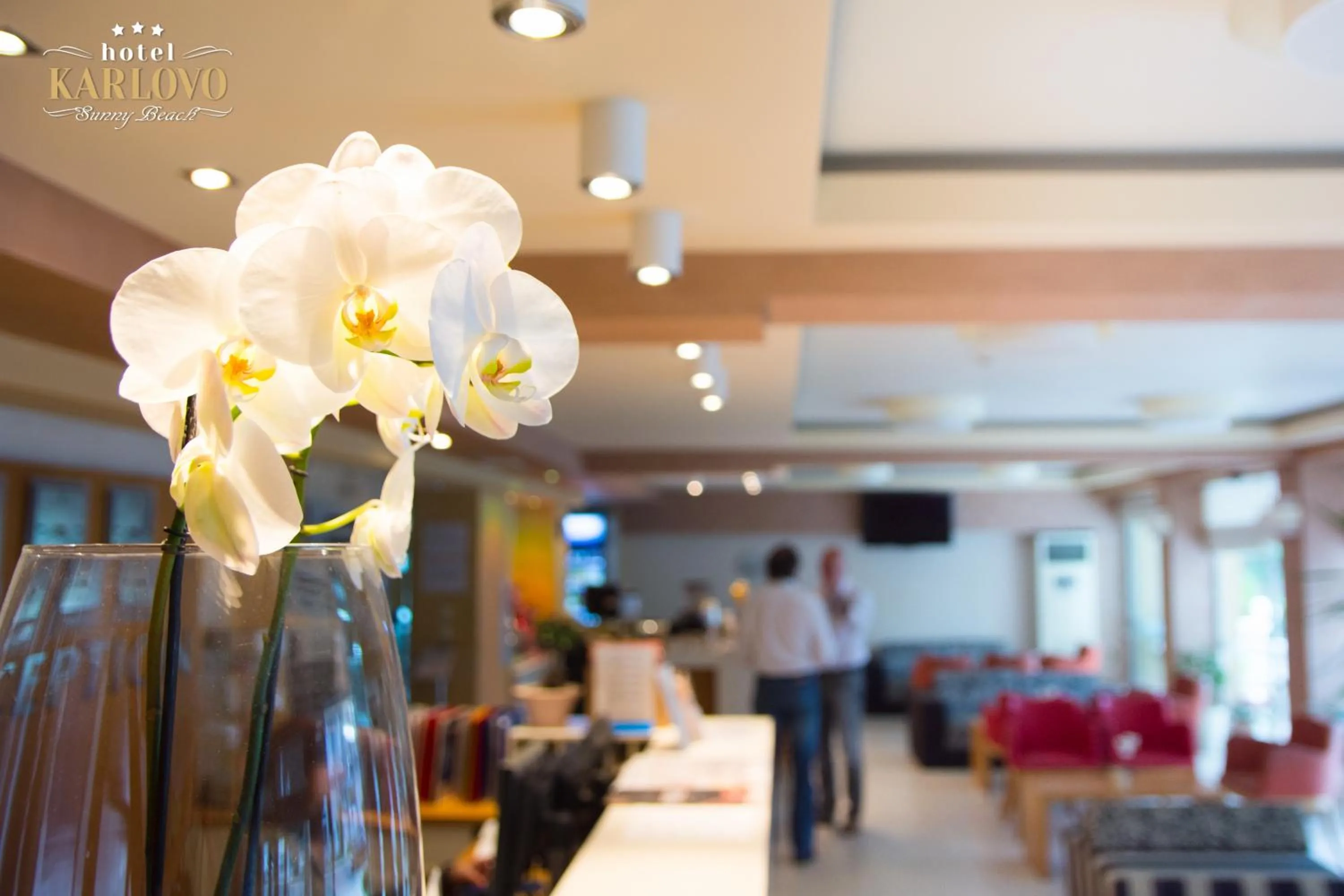 Lobby or reception in Karlovo Hotel