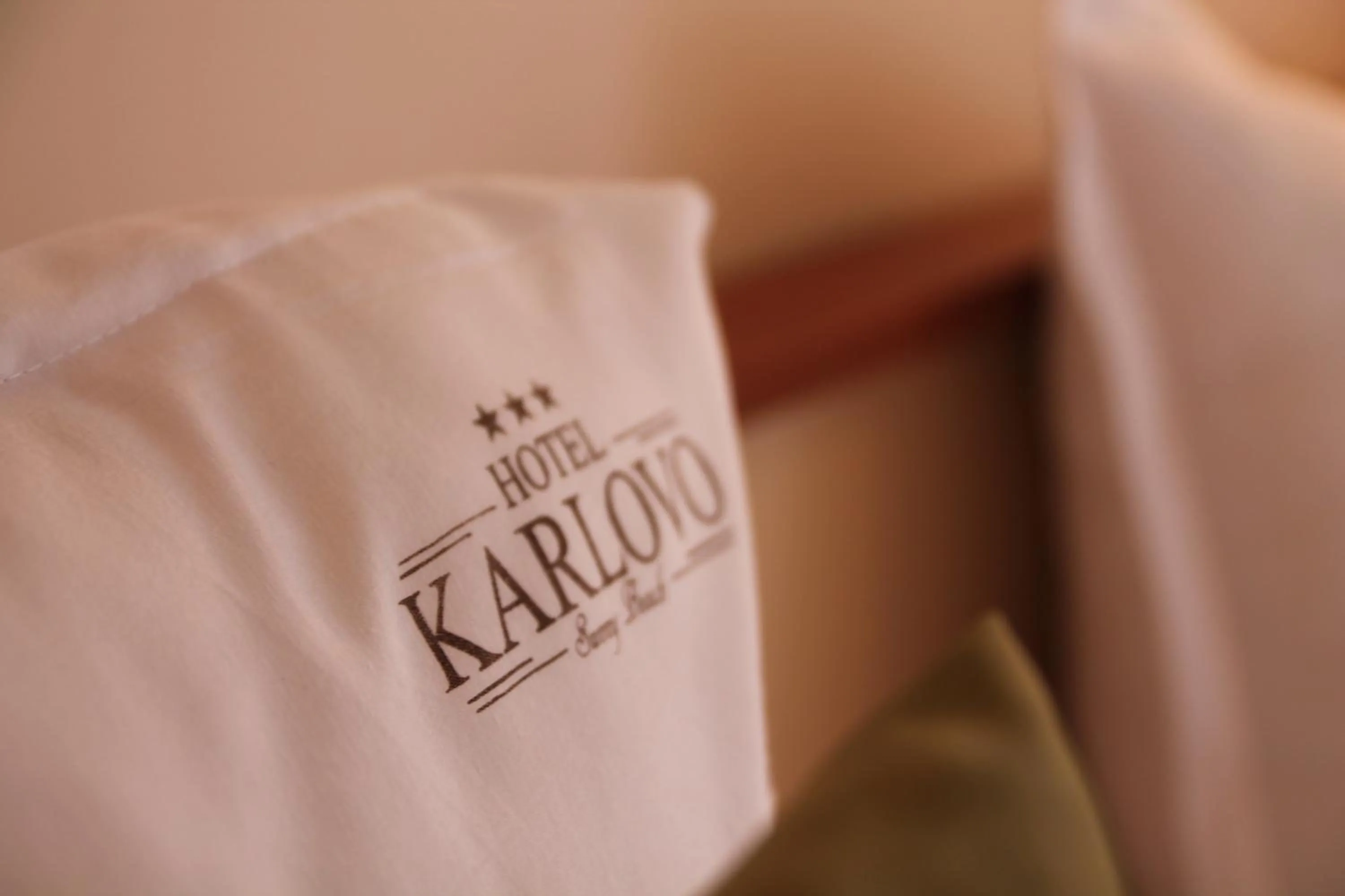 Other, Bed in Karlovo Hotel