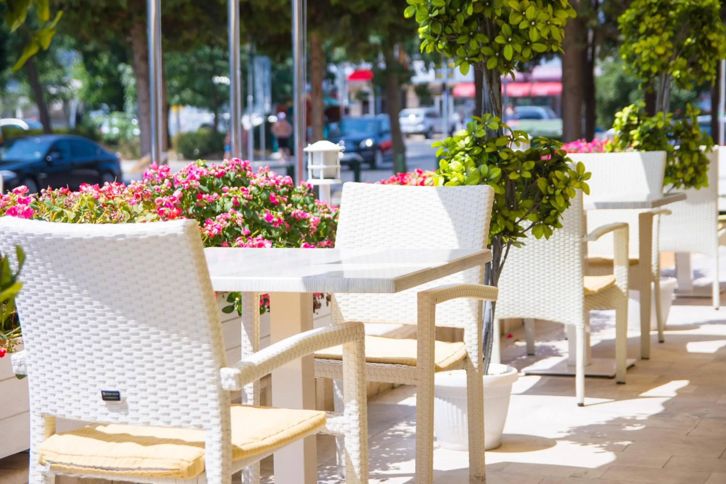 Garden in Karlovo Hotel