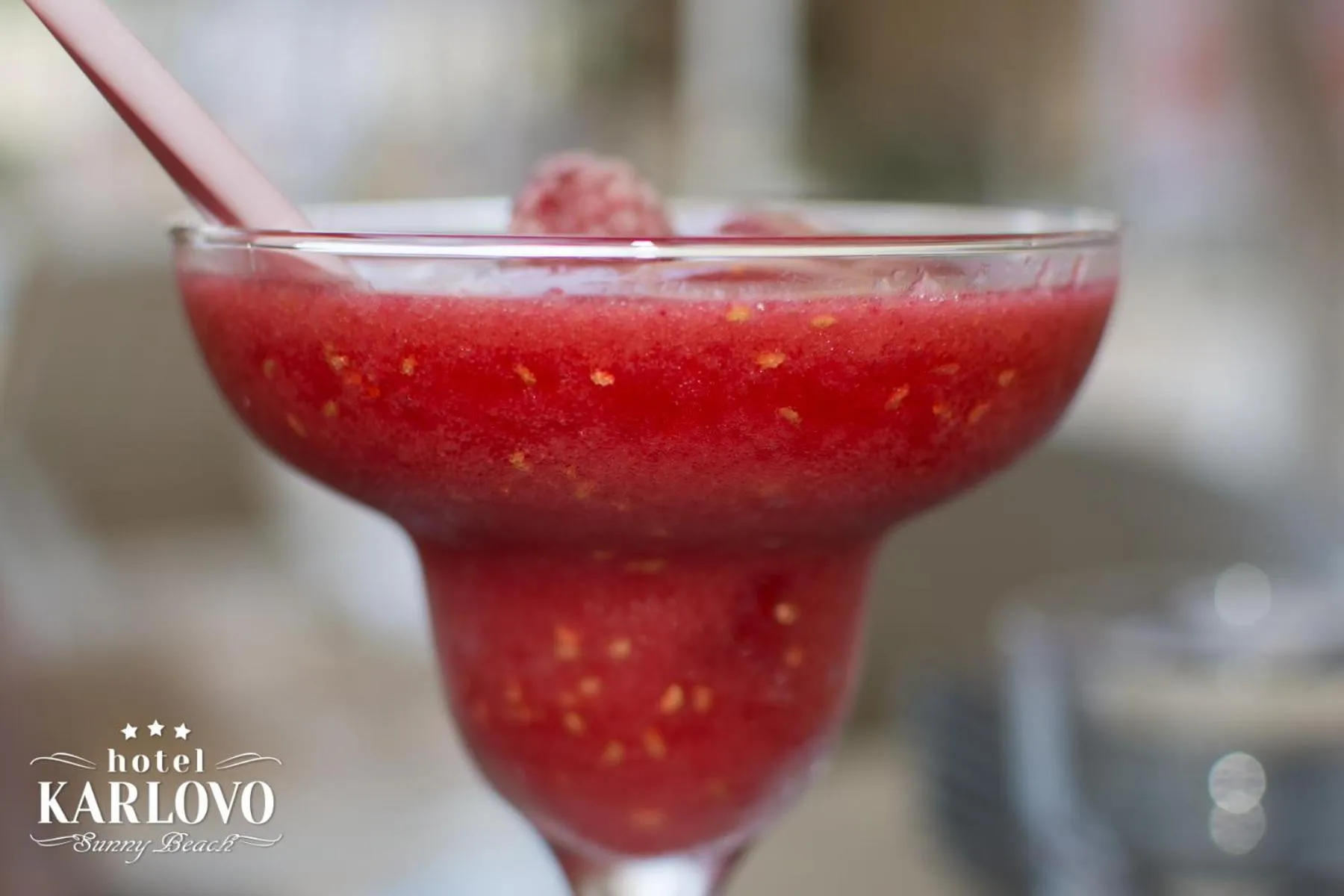 Alcoholic drinks in Karlovo Hotel