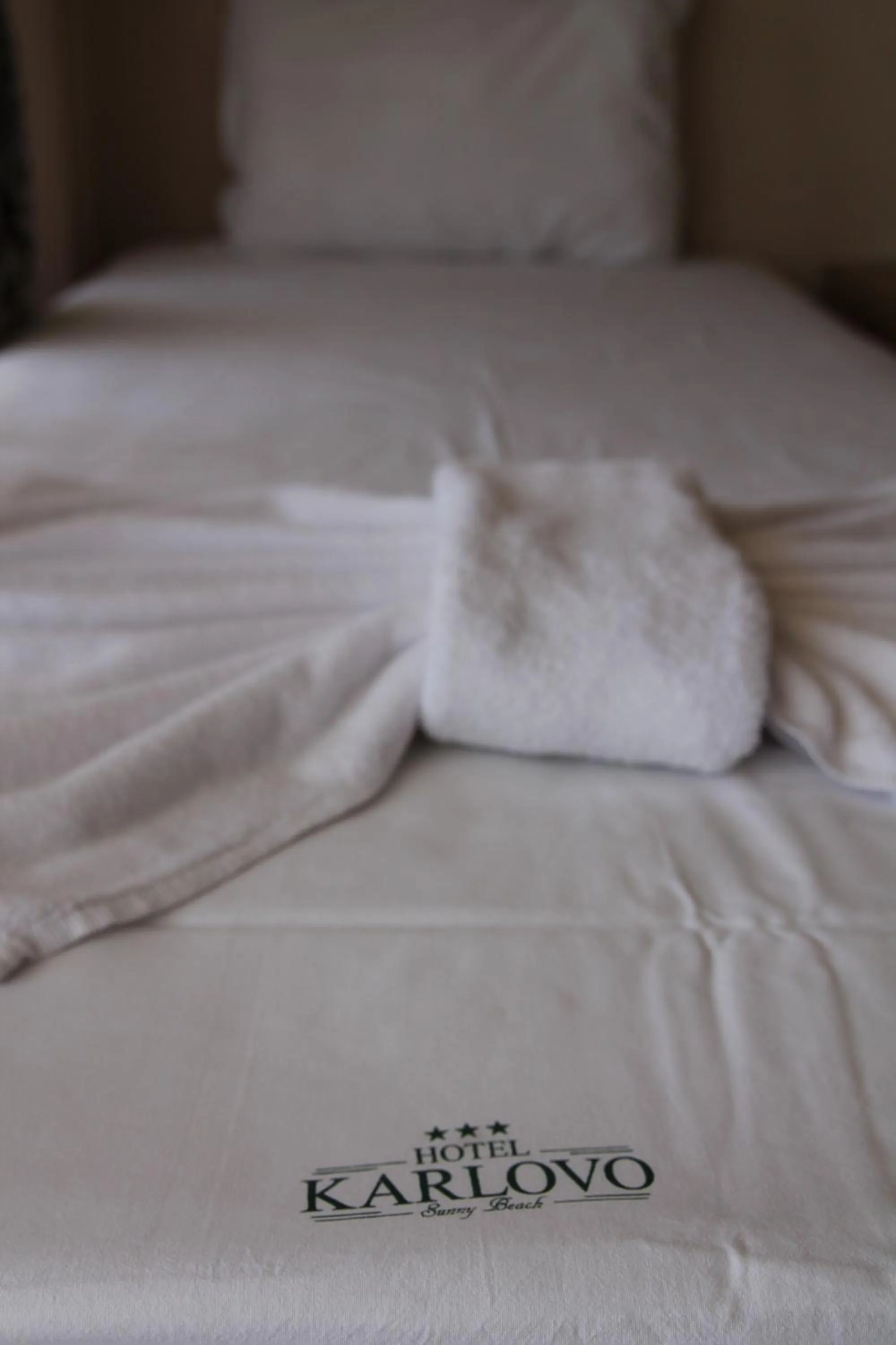 Other, Bed in Karlovo Hotel