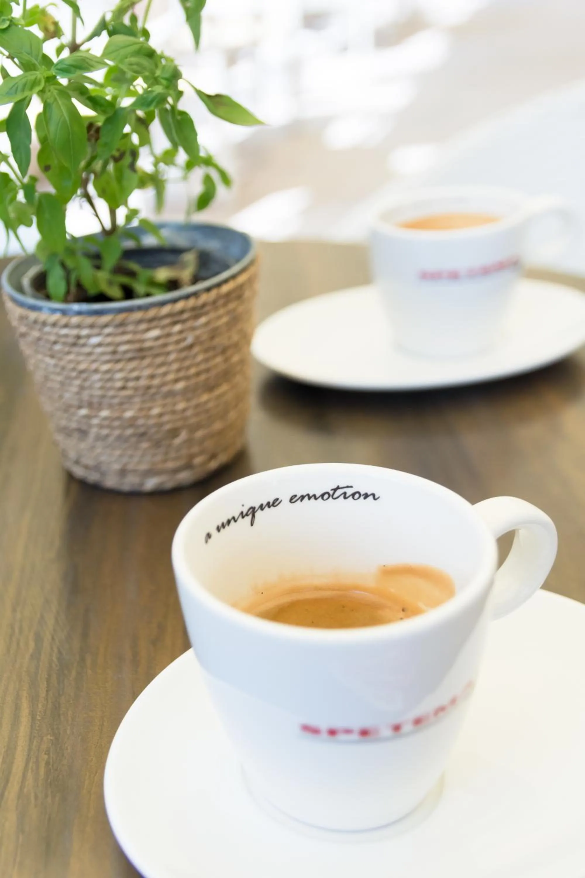 Drinks in Karlovo Hotel