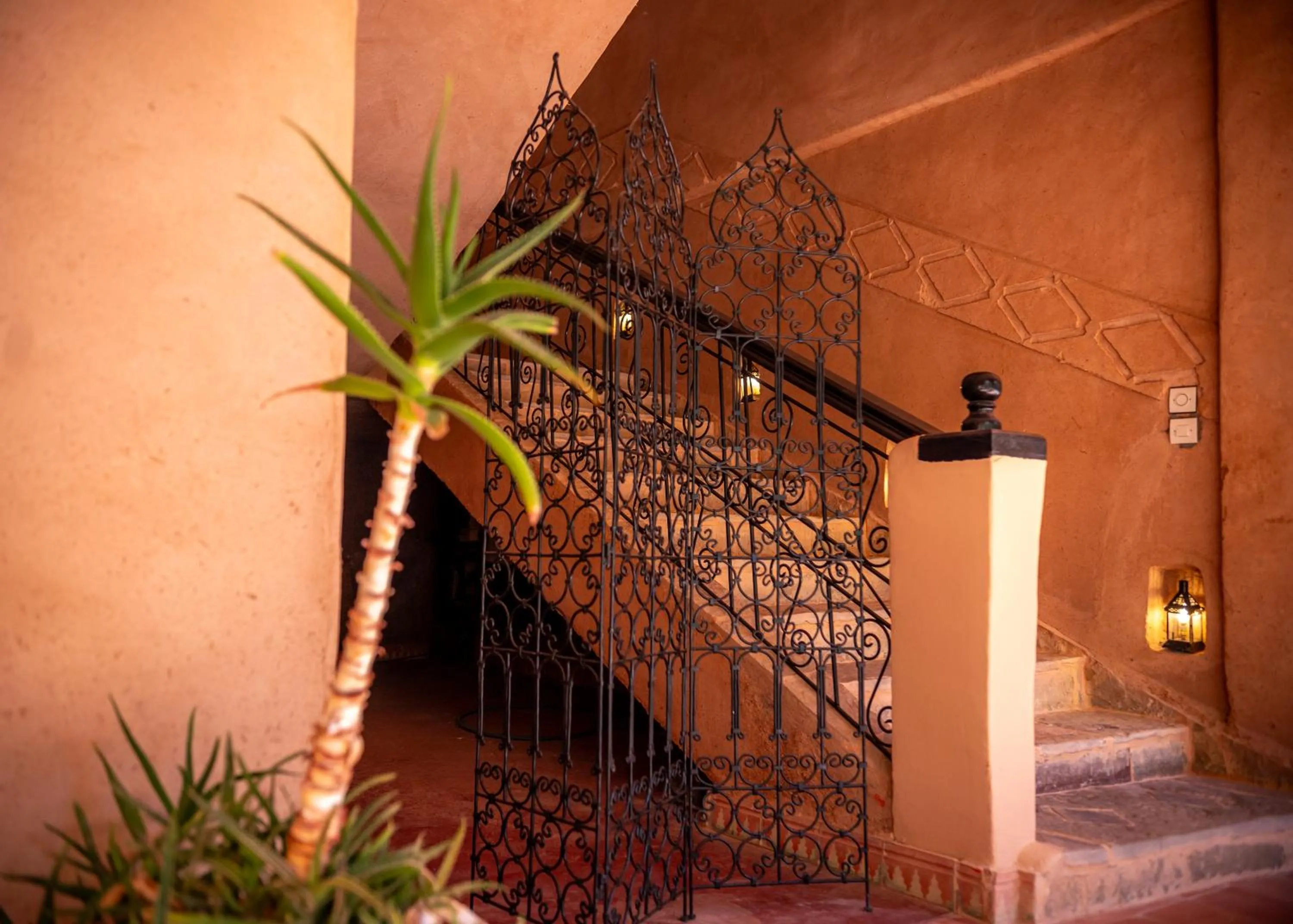Garden view in Kasbah Zitoune