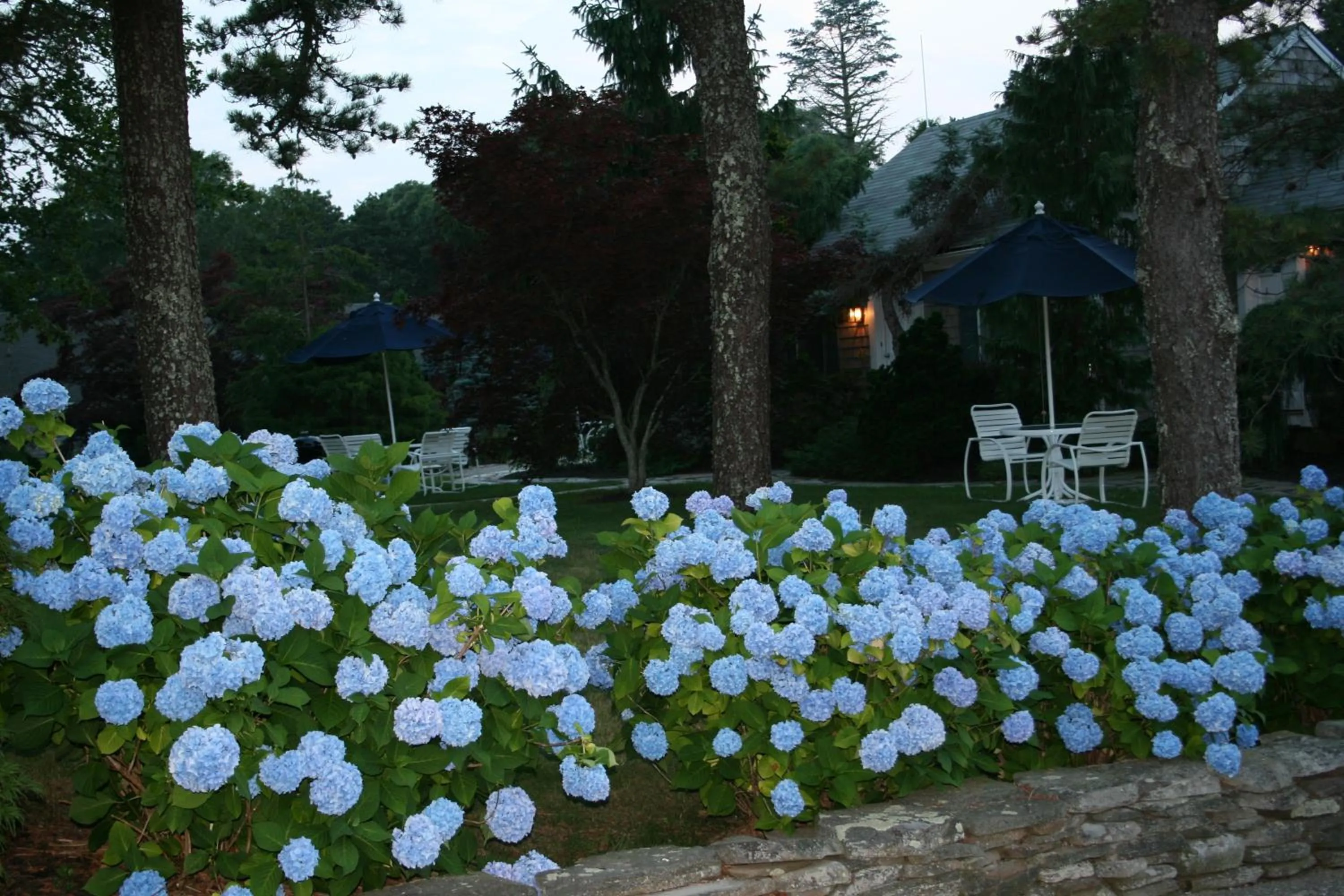 Facade/entrance in Pleasant Bay Village Resort