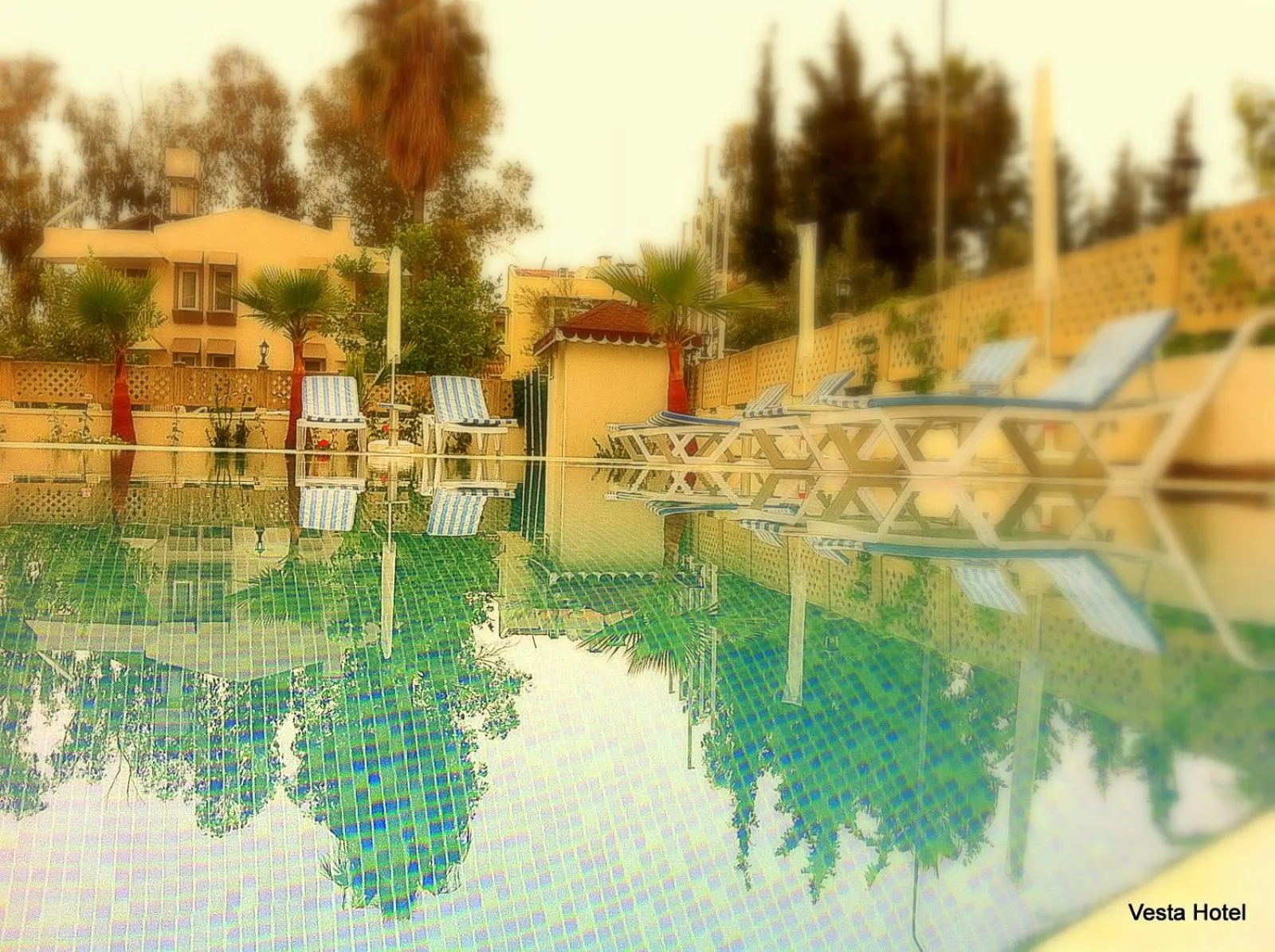 Swimming pool in Vesta Hotel