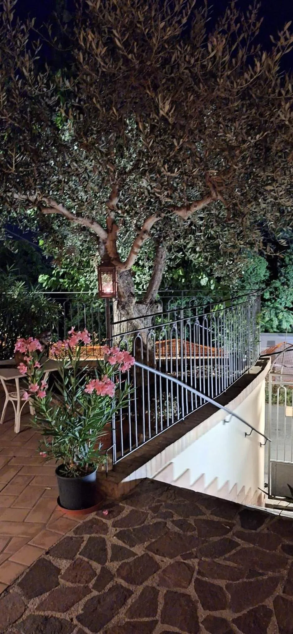 Garden in B&B Palazzo Mestichelli Boutique Palace